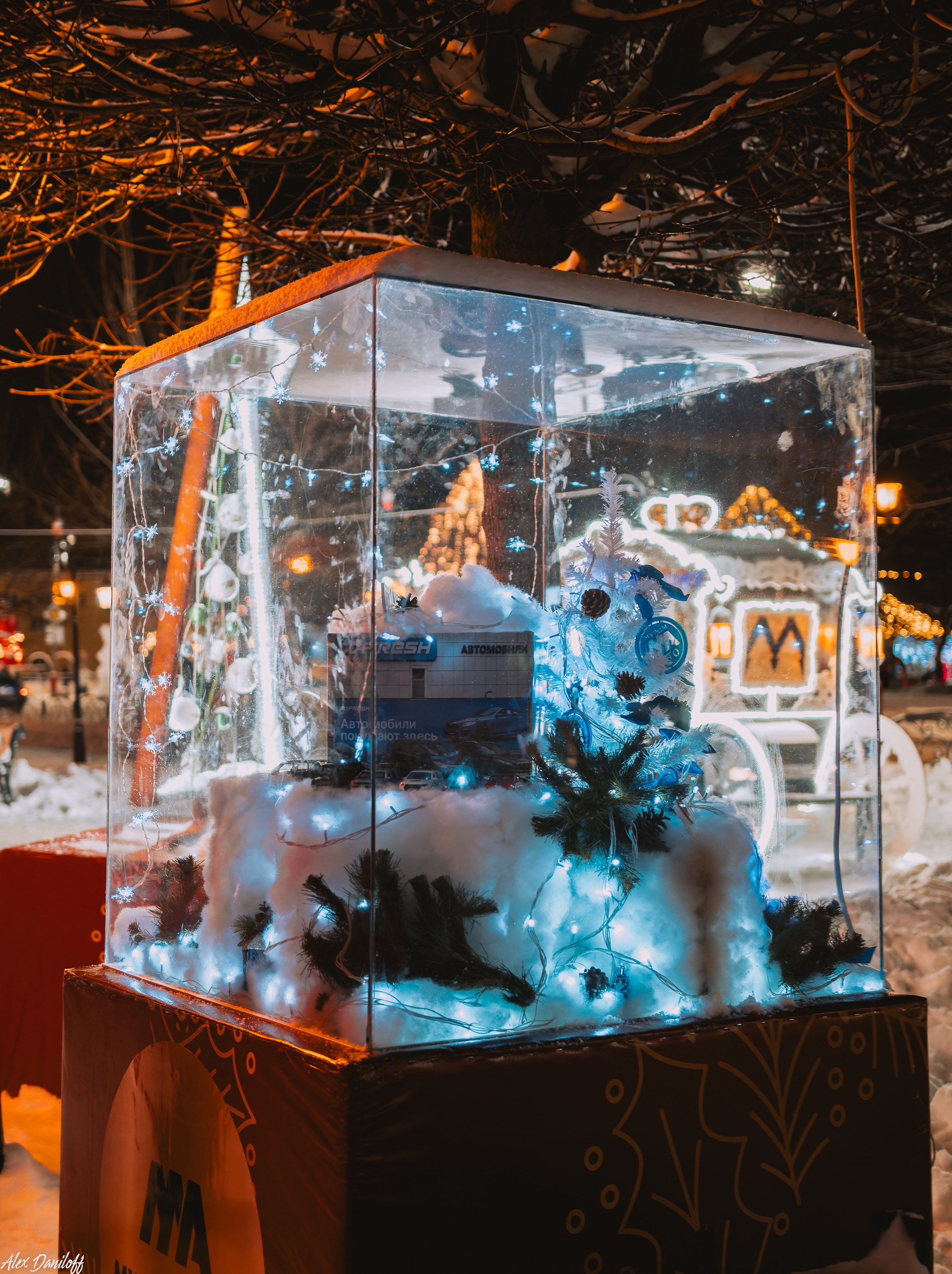 Елки 2025. Муром-Инфо. Новости культуры, образования, спорта в городе Муром