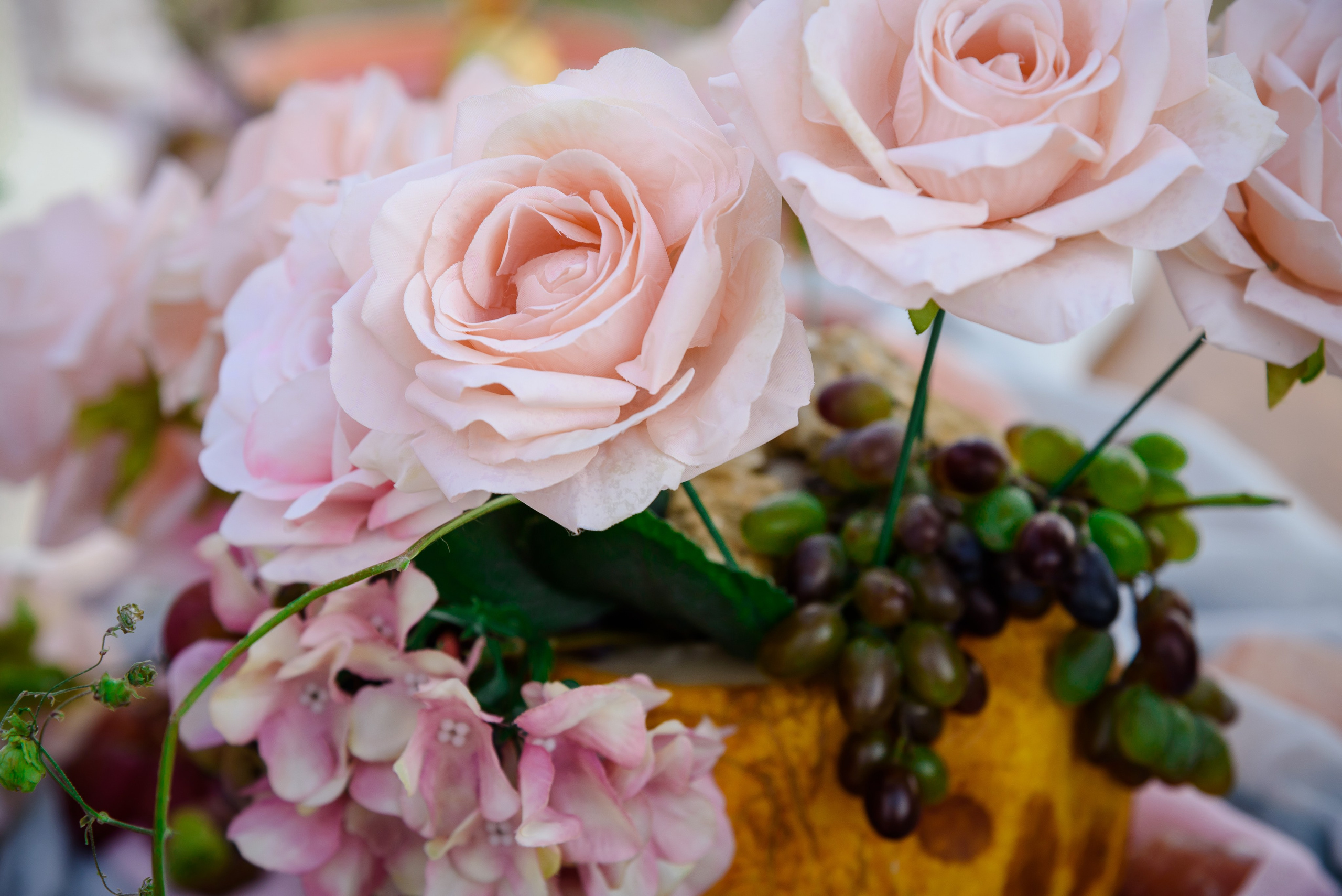 Вика и Слава. Фотограф Галина Нестерова