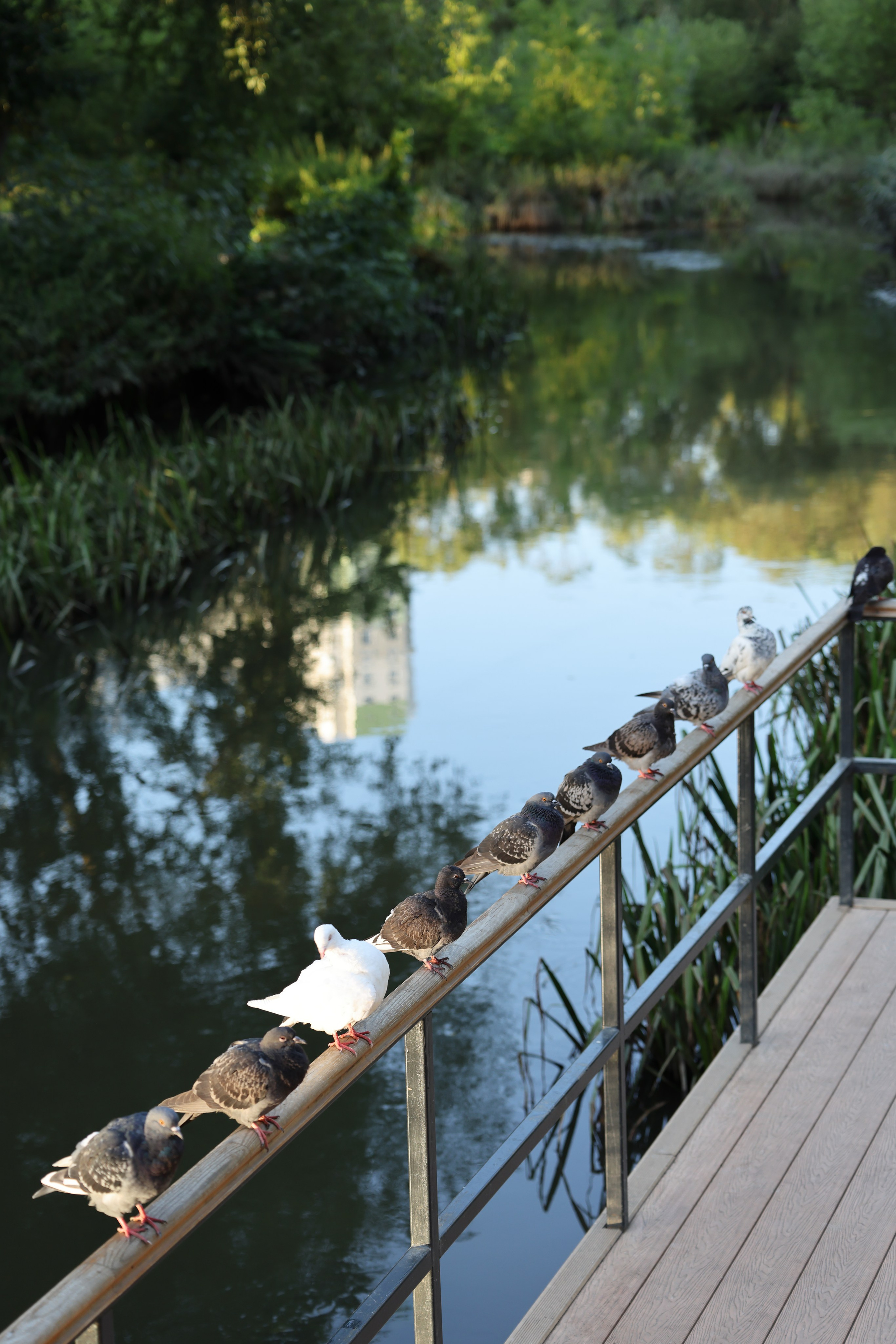 Моя Москва. Стрит-фотография. Альбом Никиты Дряблова
