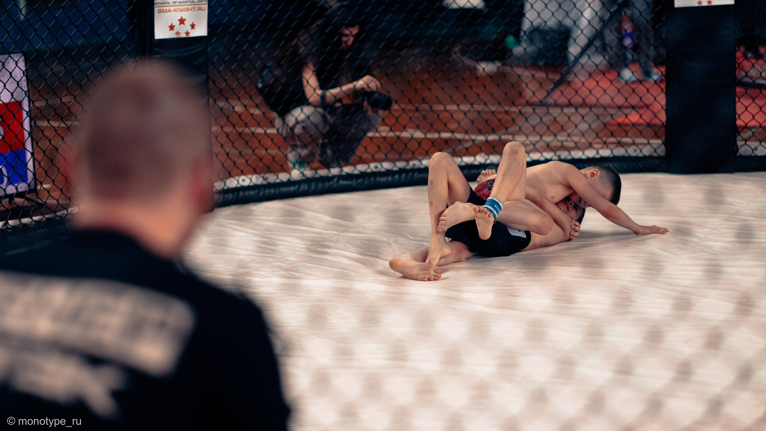 MMA. Бойцовский турнир