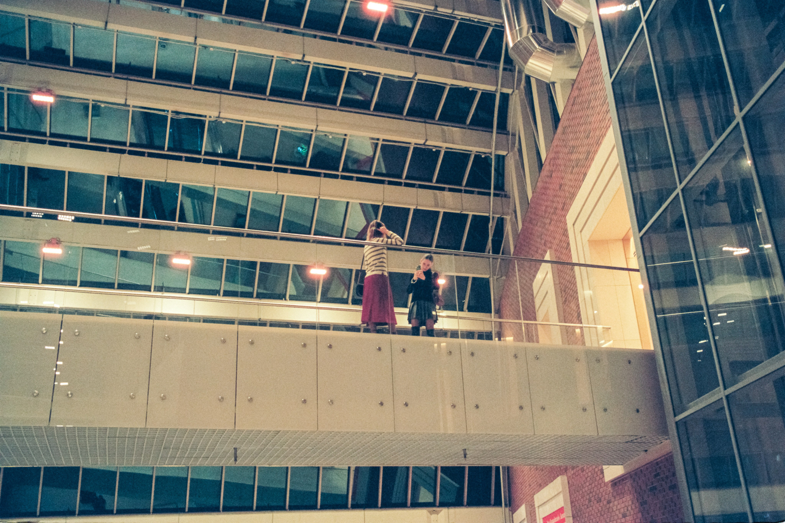 Девушки фотографируются в Новой Третьяковке