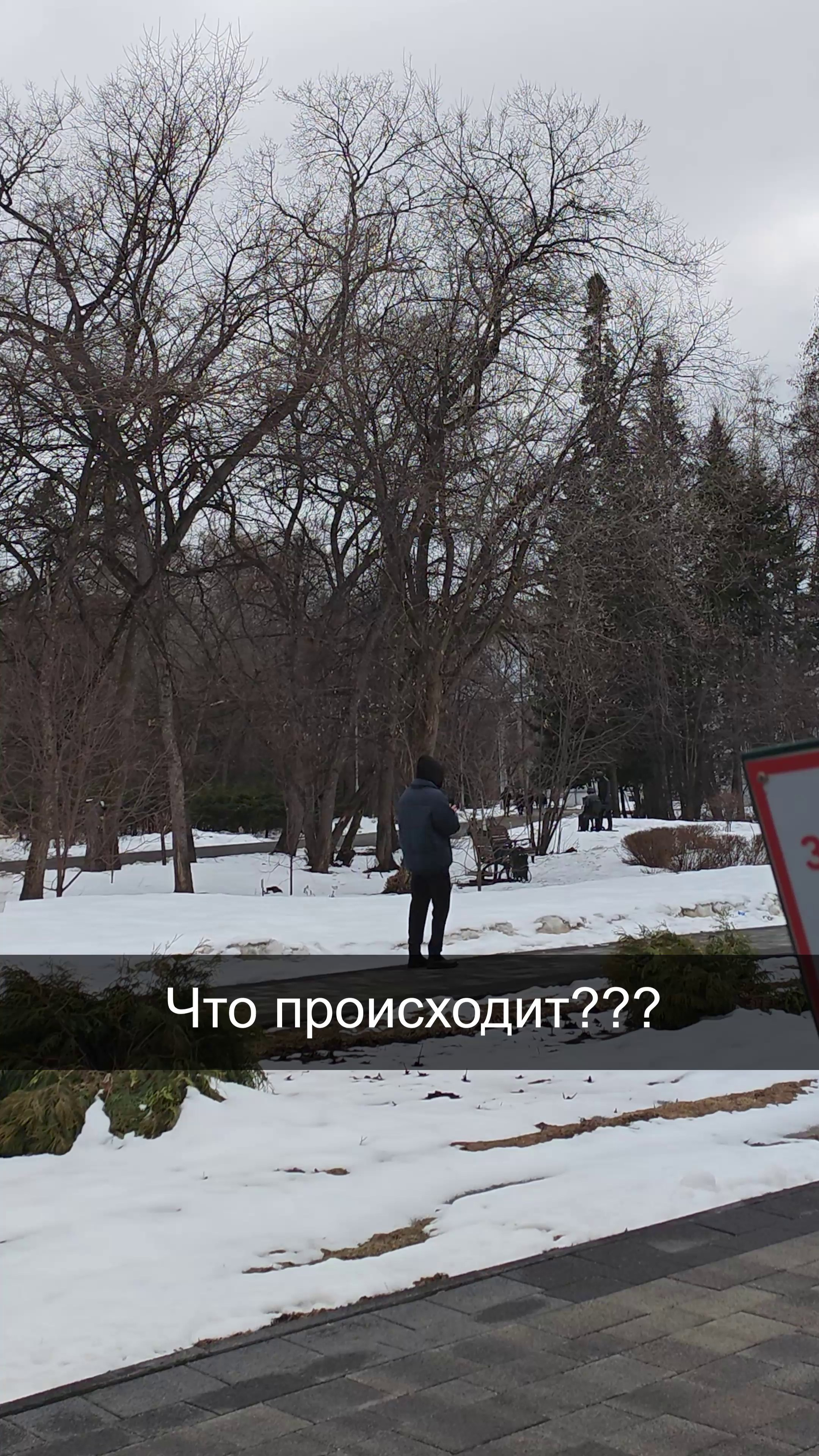 Видео. МПР.МЕДИА