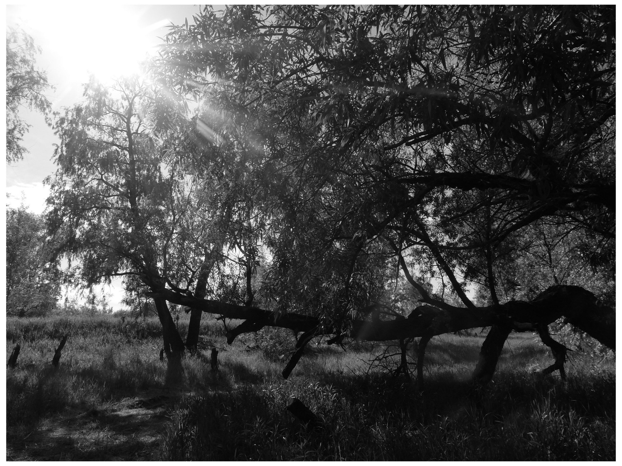 Промежуточные моменты (2022)