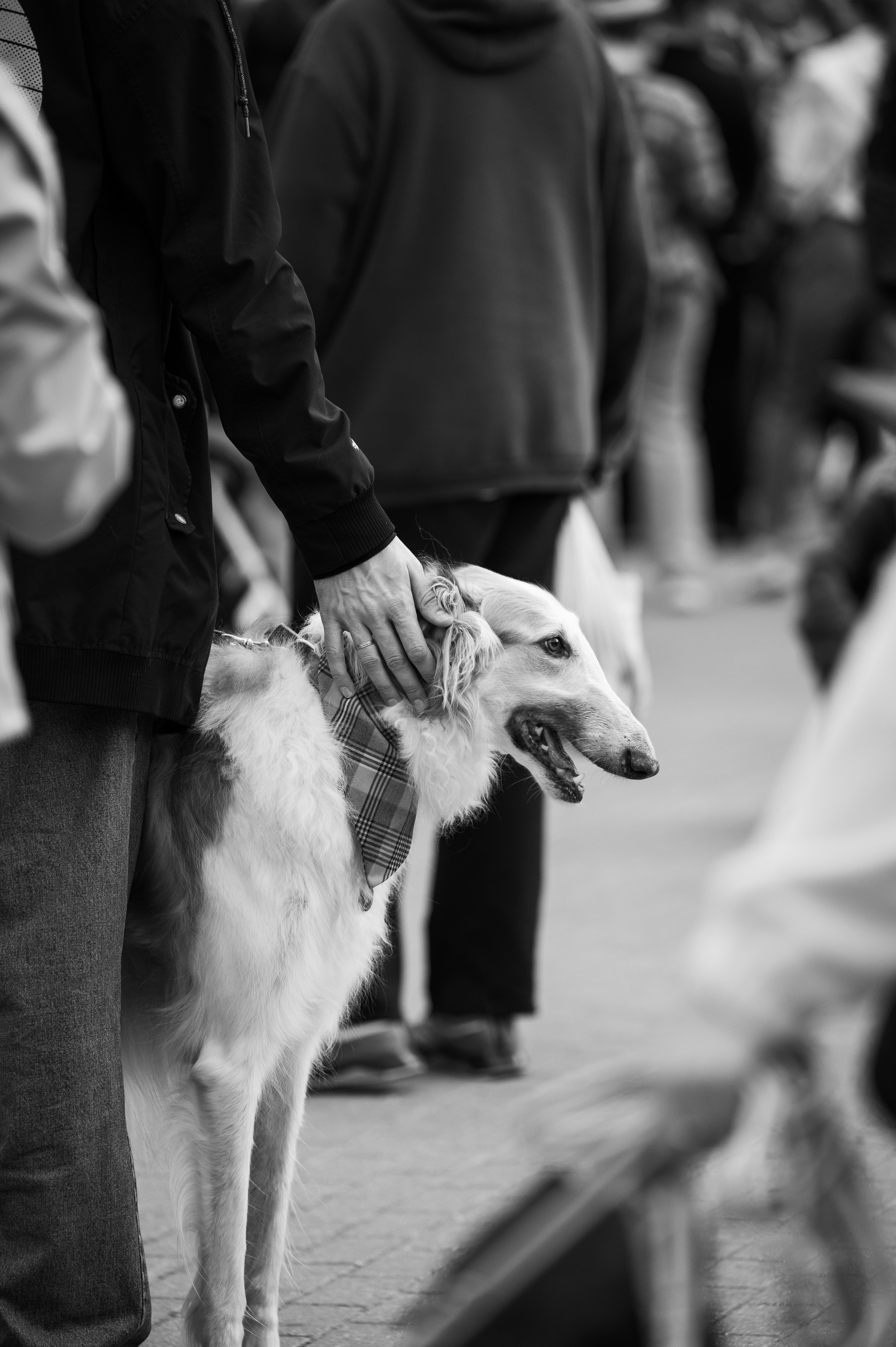 Reportage. Фотограф в Москве Анна Чистякова