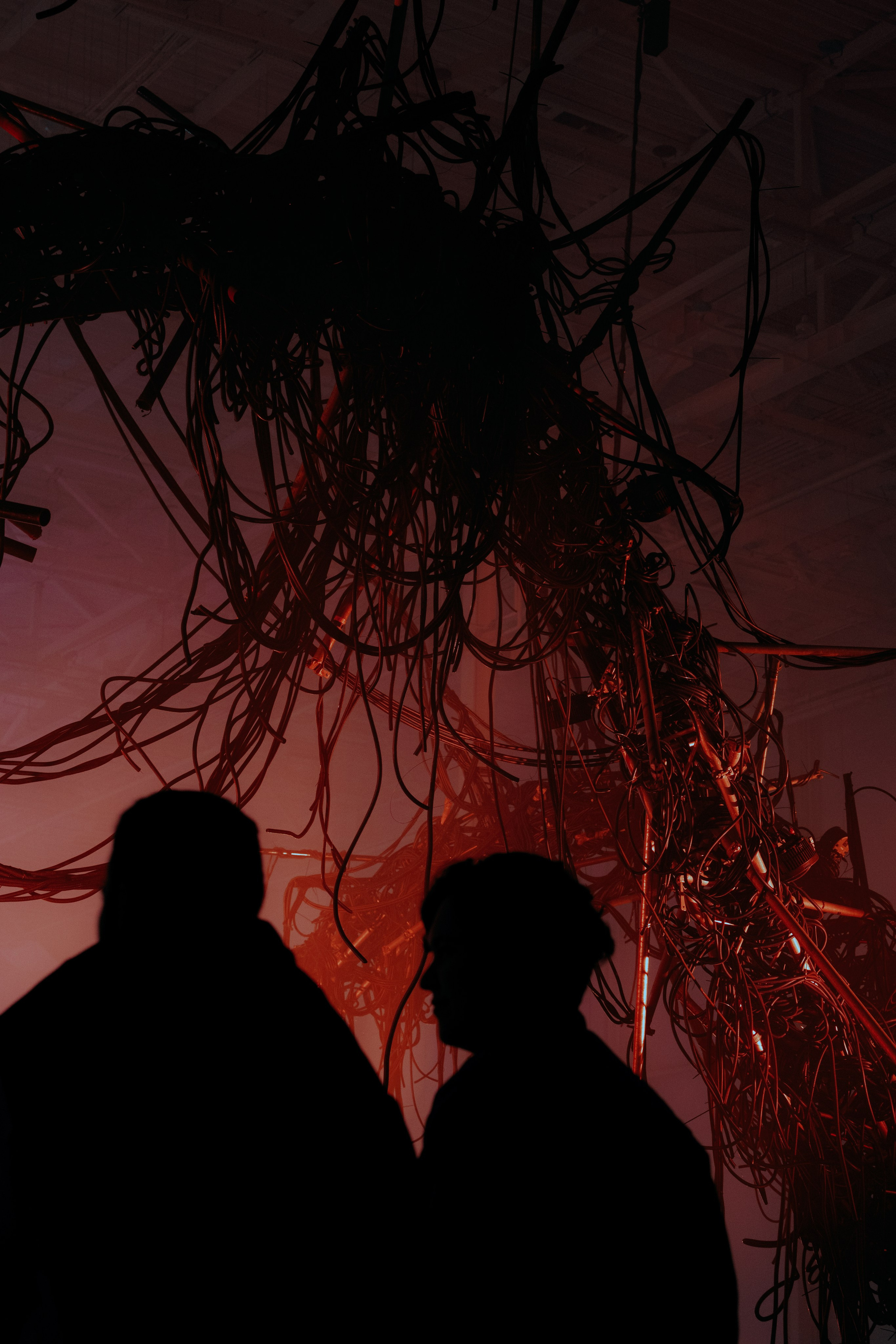 PERFORMA, The Hour of the Horse. @tomrus: Рустам Шагиморданов — фотограф