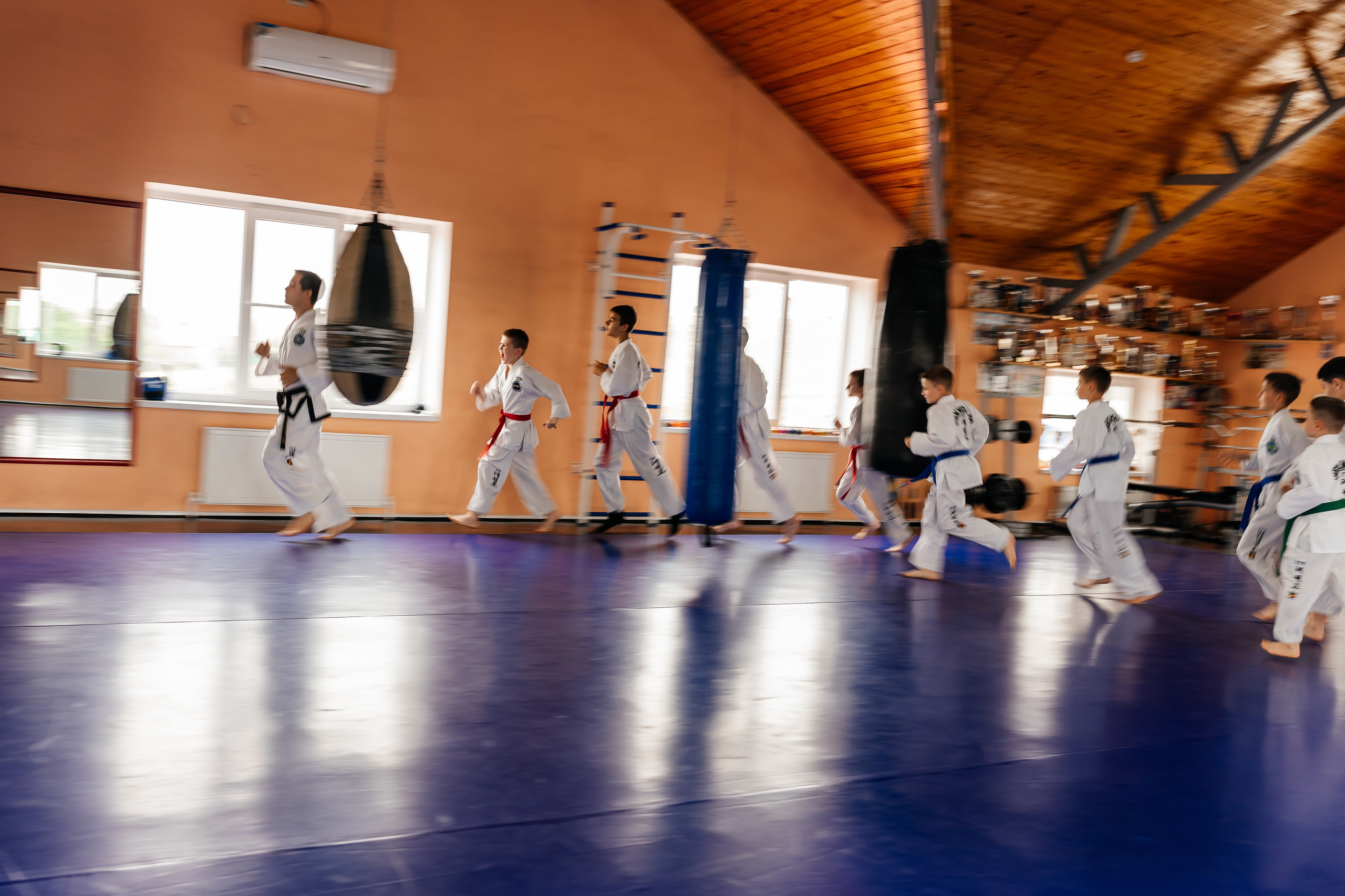 Съемка спортивных мероприятий. Taekwondo/2023. Семейный фотограф в Москве Ирина Жур