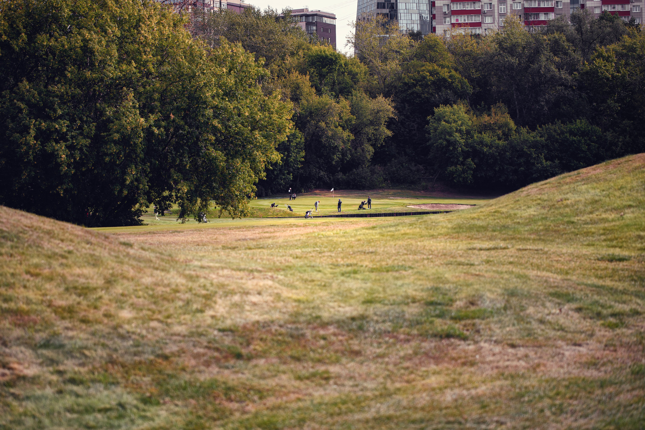 Гольф — SberGroup. Фотограф в Москве — Новиков Владислав