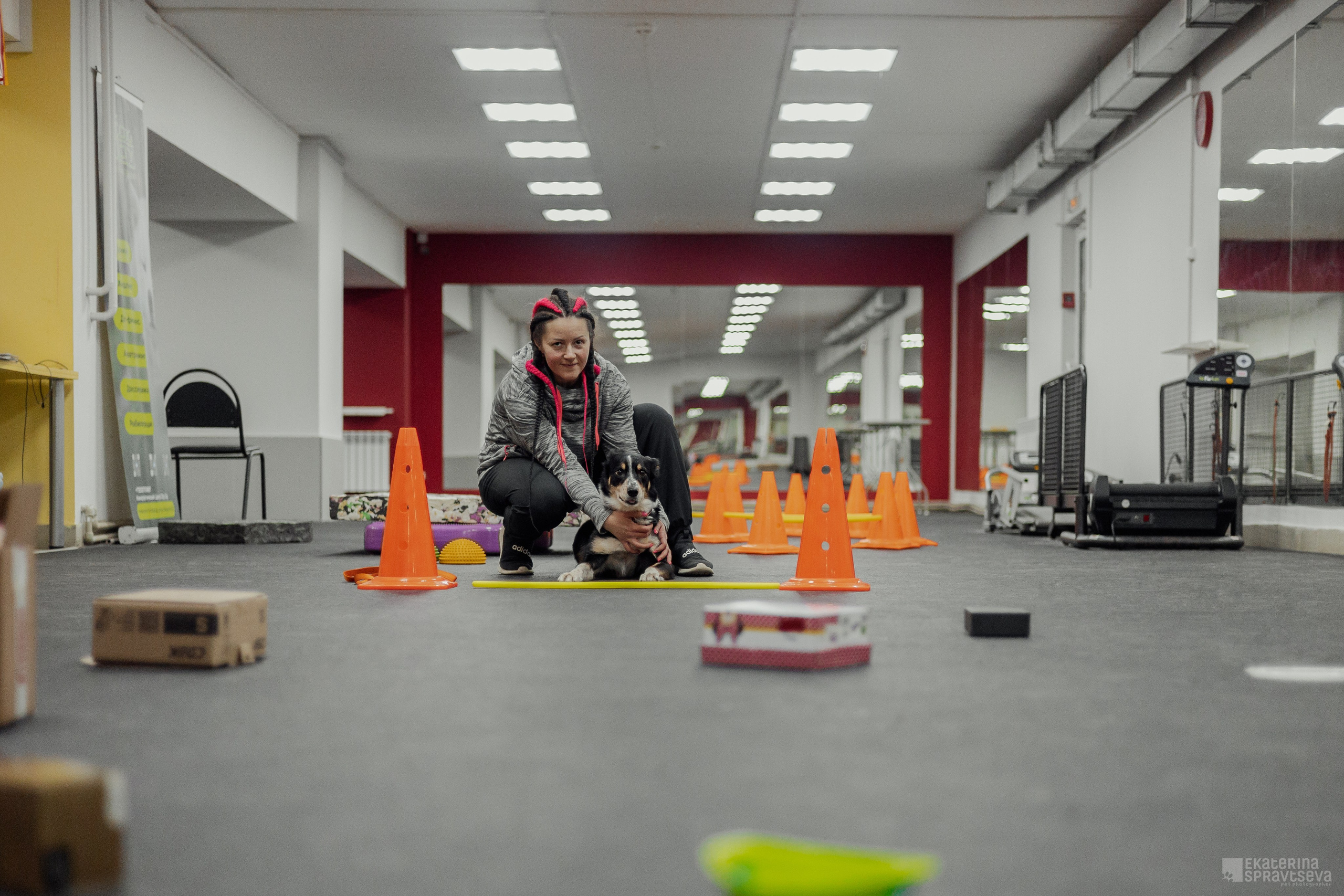 NoseWork. Фотограф Анималист Екатерина Справцева в Нижнем Новгороде