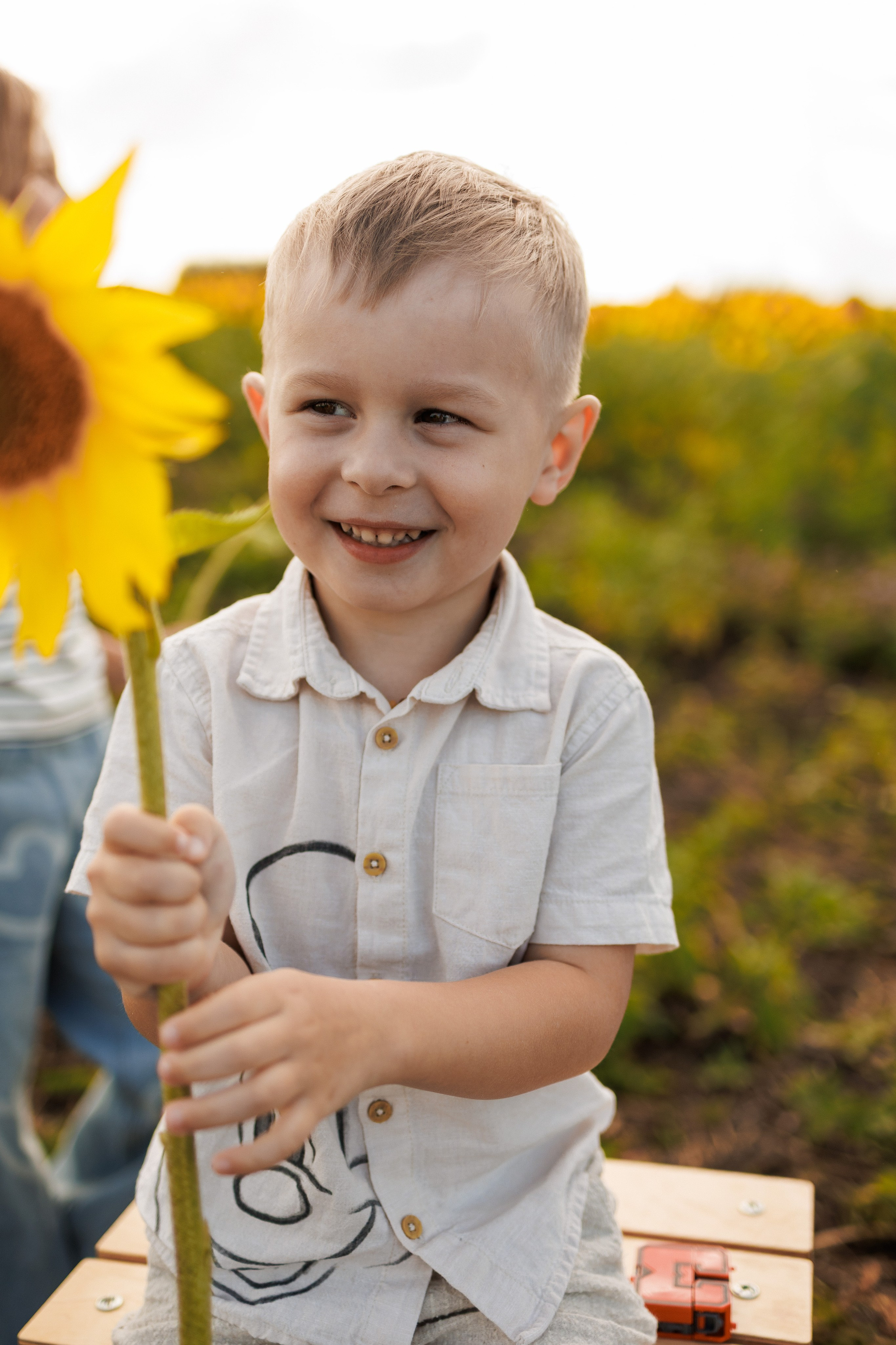 В поле подсолнухов. Семейный фотограф г. Тюмень