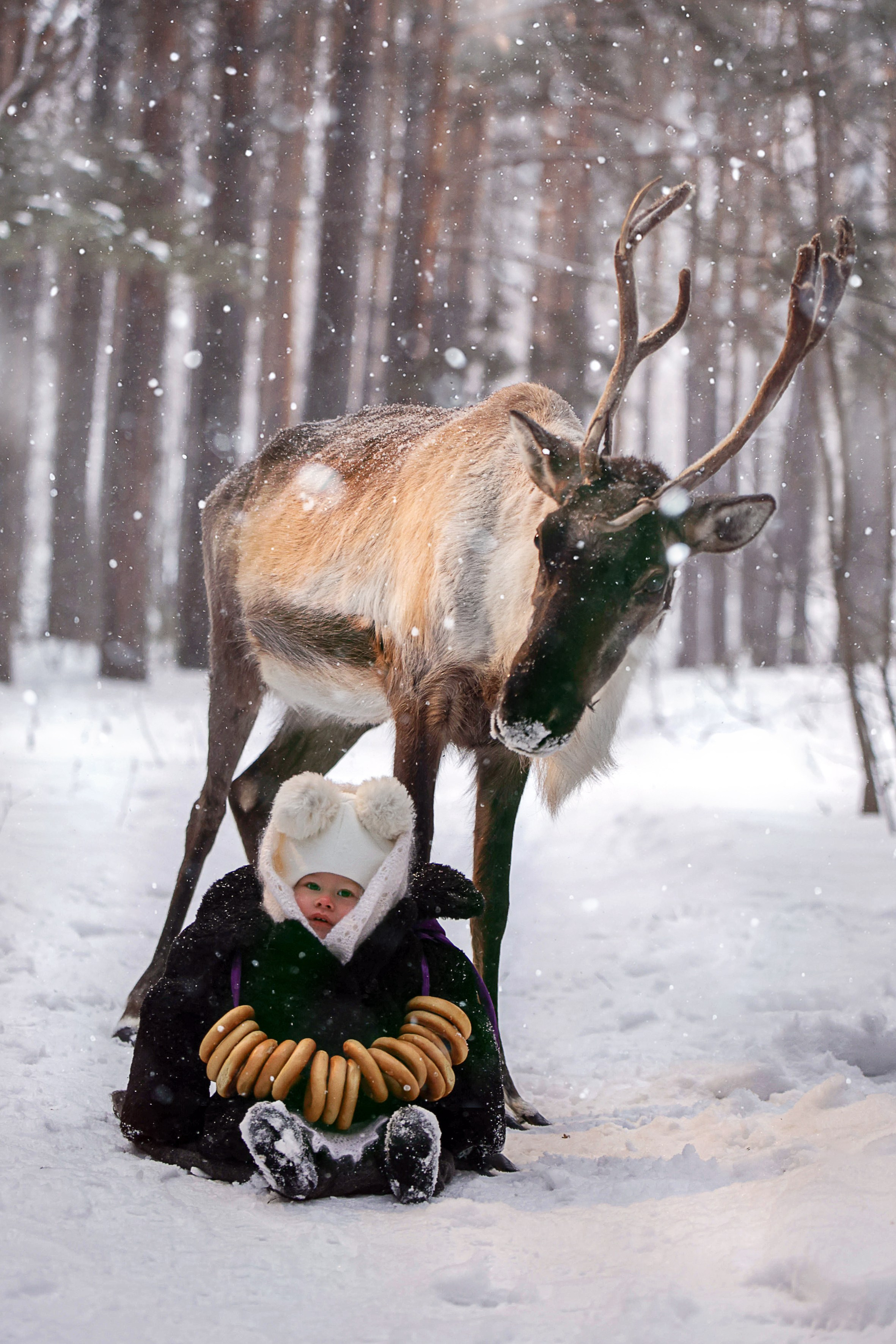 Олениха Нося 2024. Конный фотограф в Красноярске — Любовь Похабова
