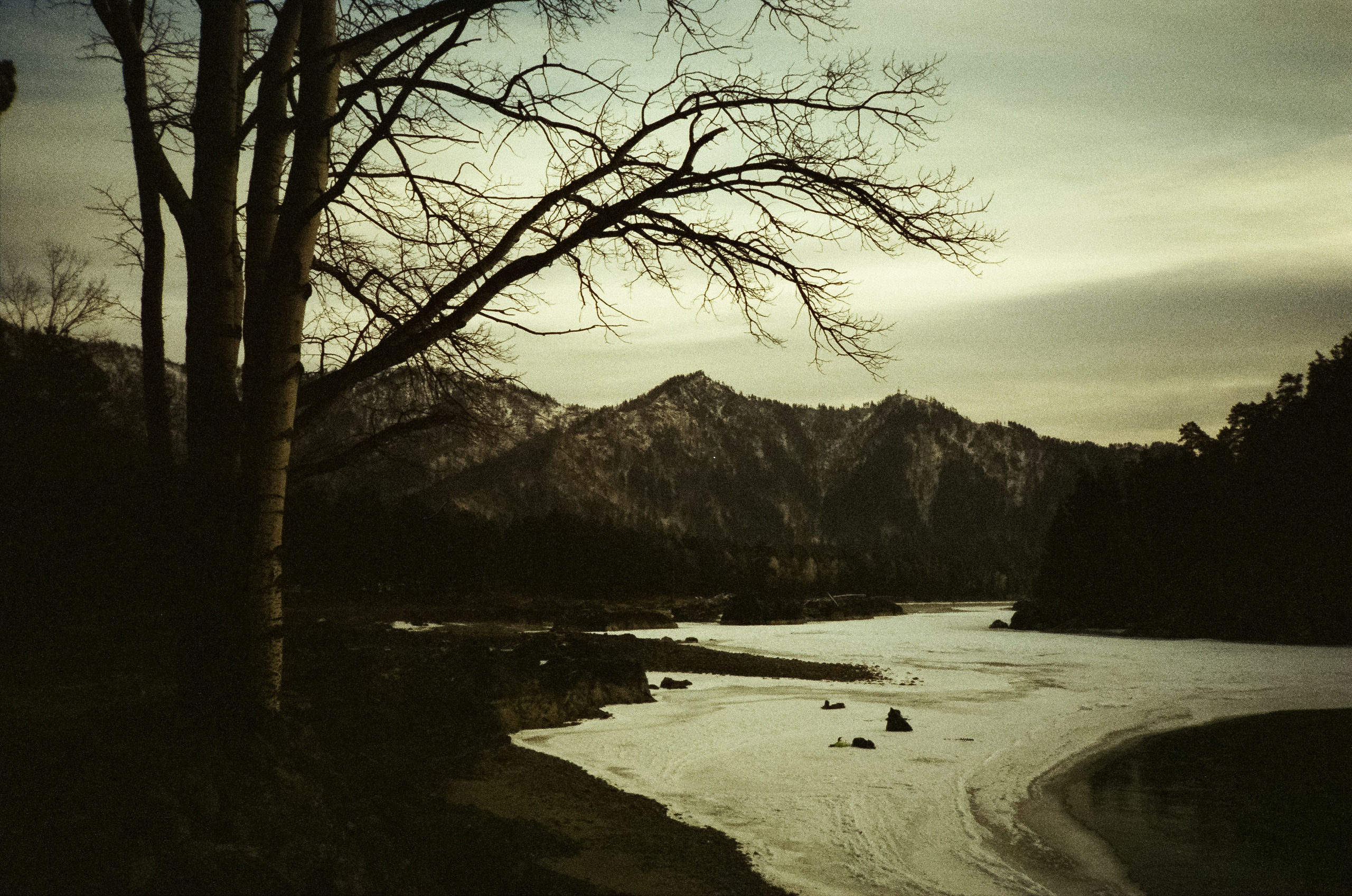 Дорога в сторону Сада Пионов, база Сила Алтая / 15 — 16 декабря 2023 г