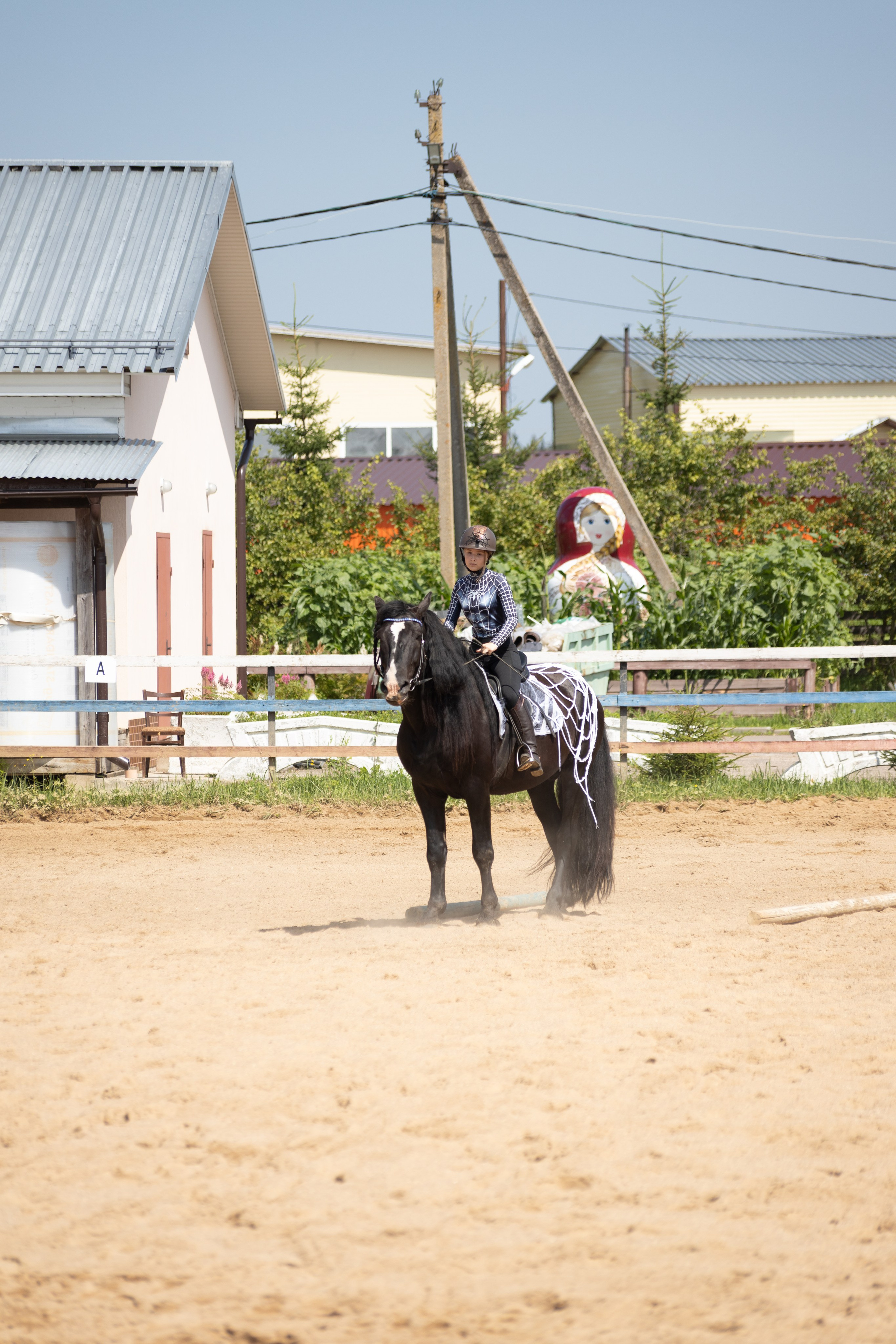 Конюшня. Фотограф в Москве и Истре
