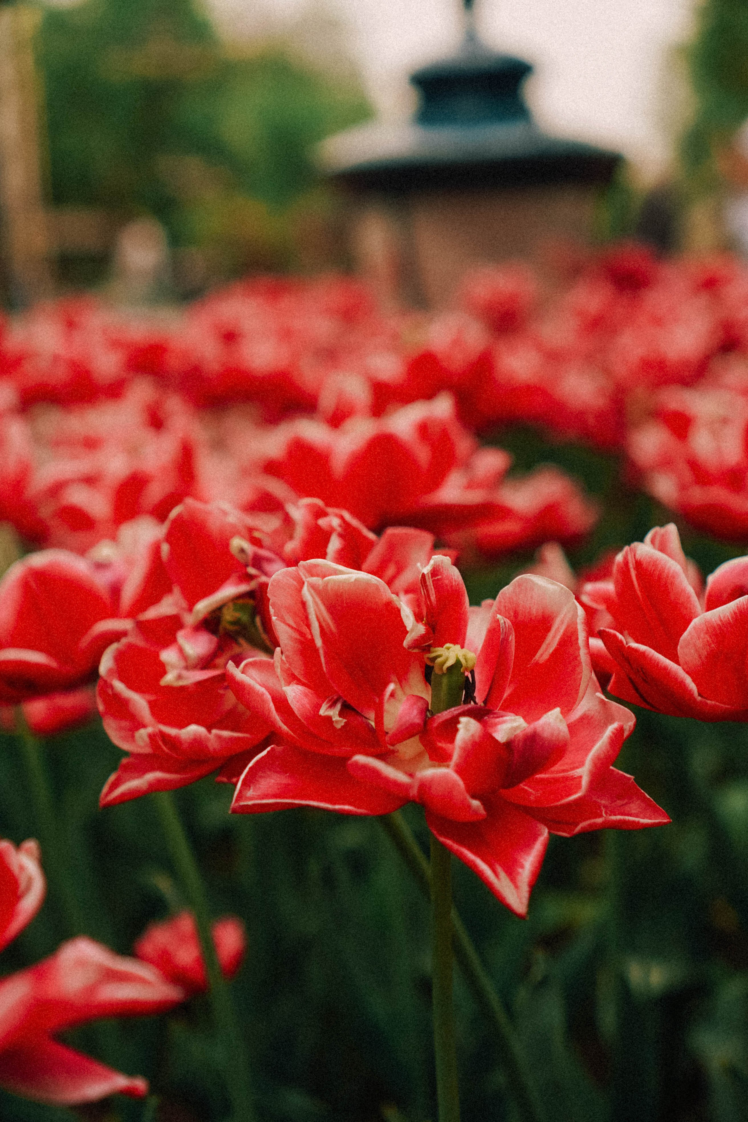 КИСЛОВОДСК. Профессиональный фотограф, Санкт-Петербург — Виктория Богомолова