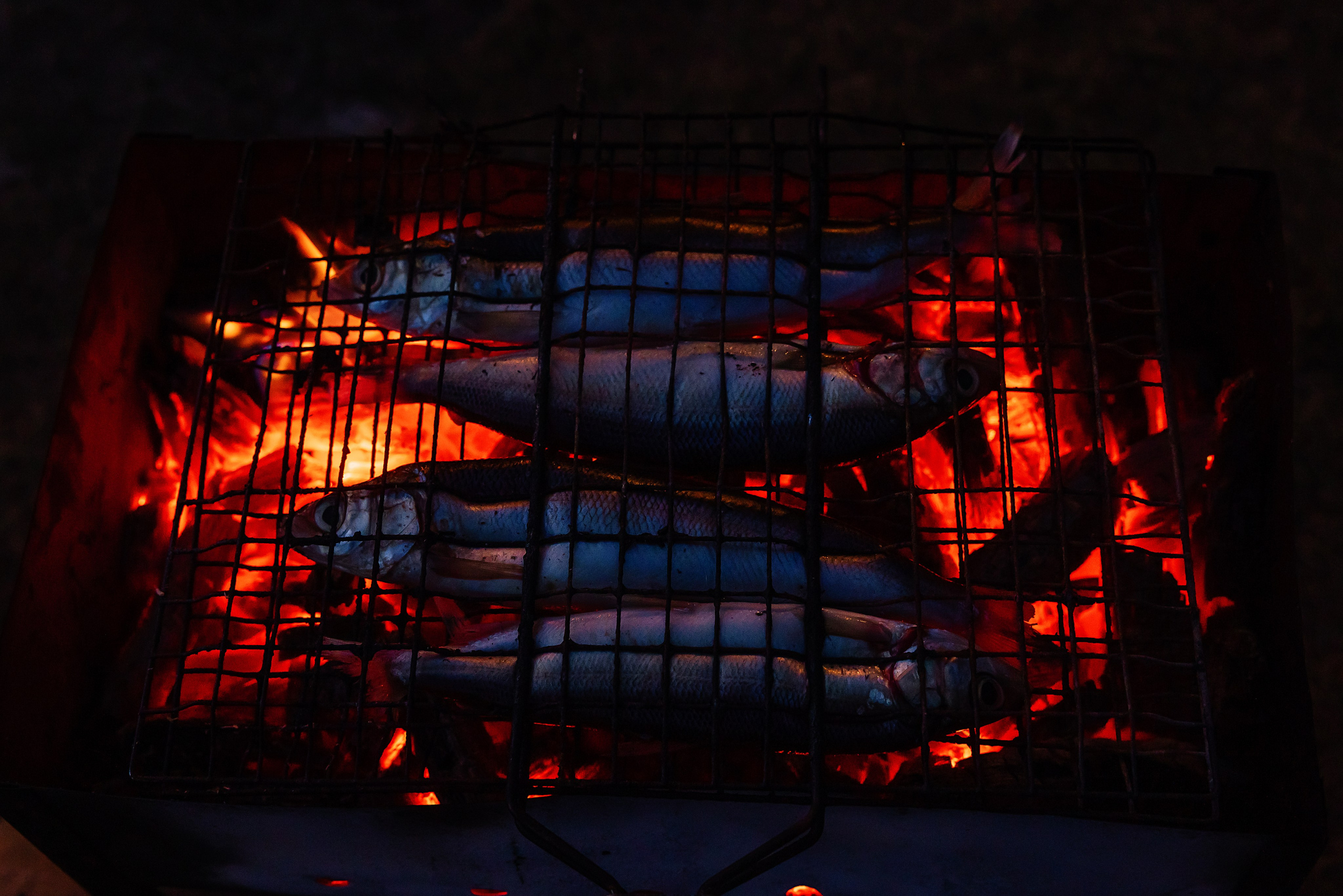 @Artel.Baikal. Фотограф и видеограф в Улан-Удэ: Аюна Габагуева и Артём Шаханов