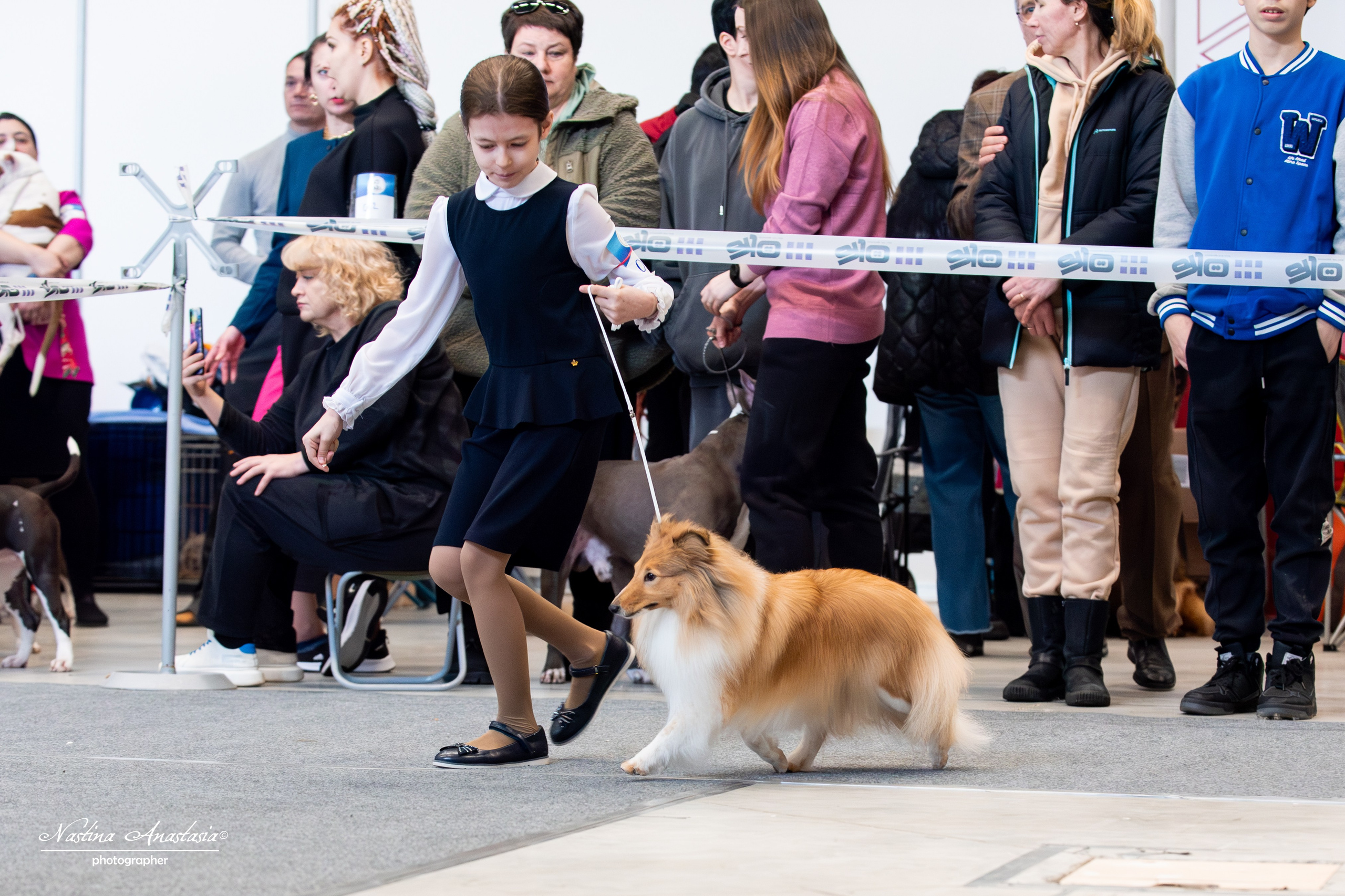 Выставки. Фотограф — Анималист