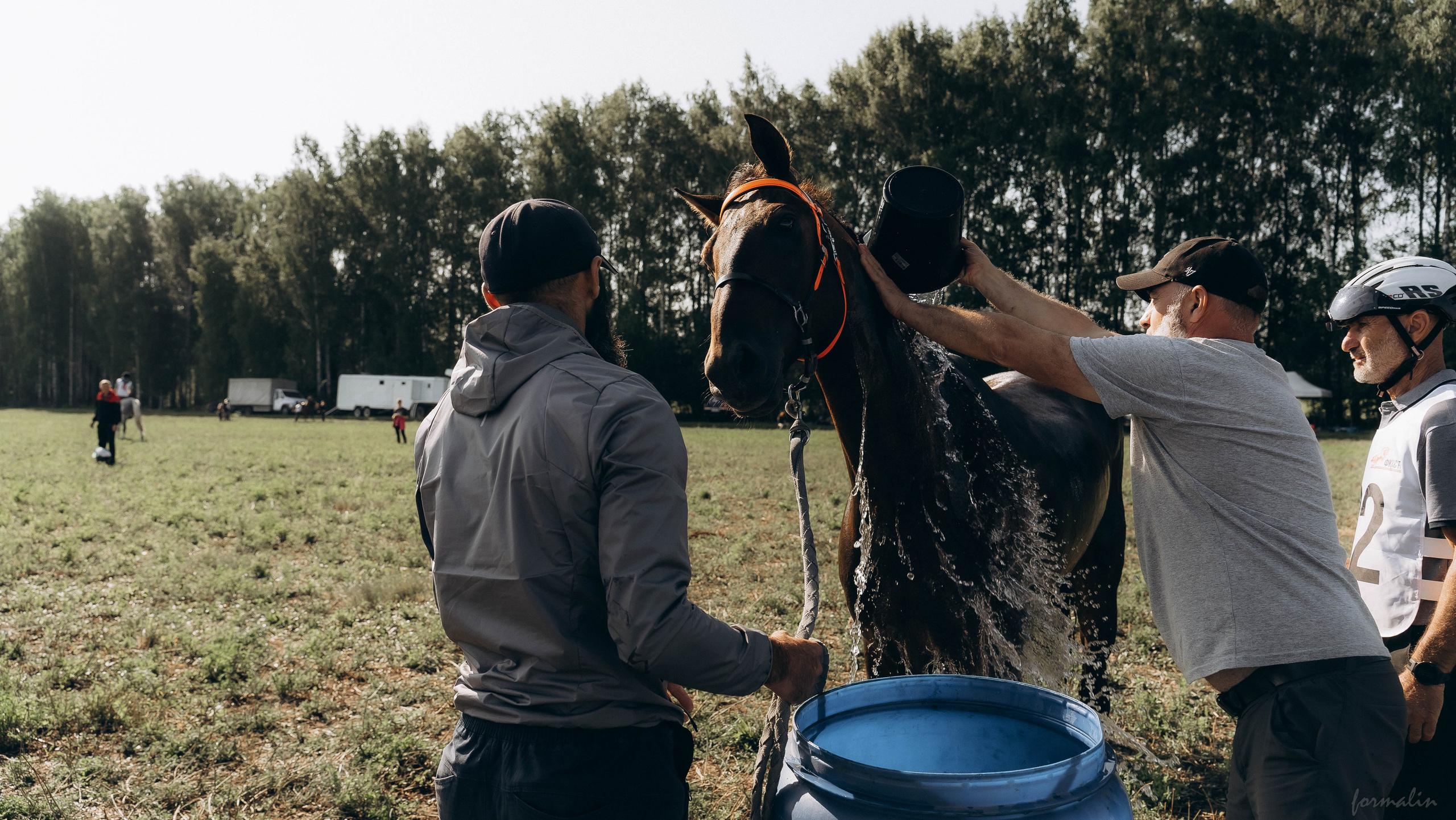 День Коня. Алиса Никитцова | Фотограф в Казани