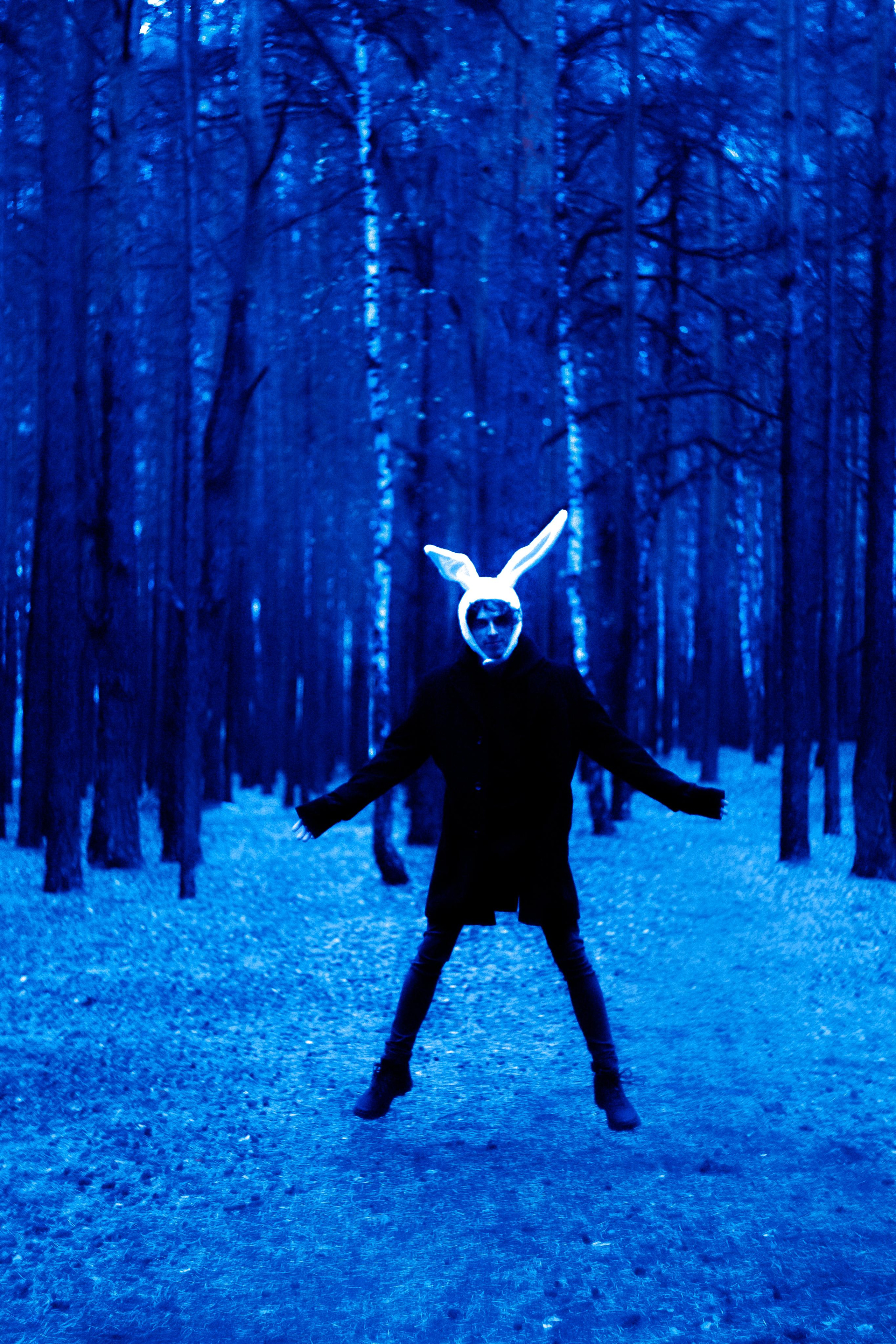 Заяц. Фотограф Дарья Мустафина, Тюмень