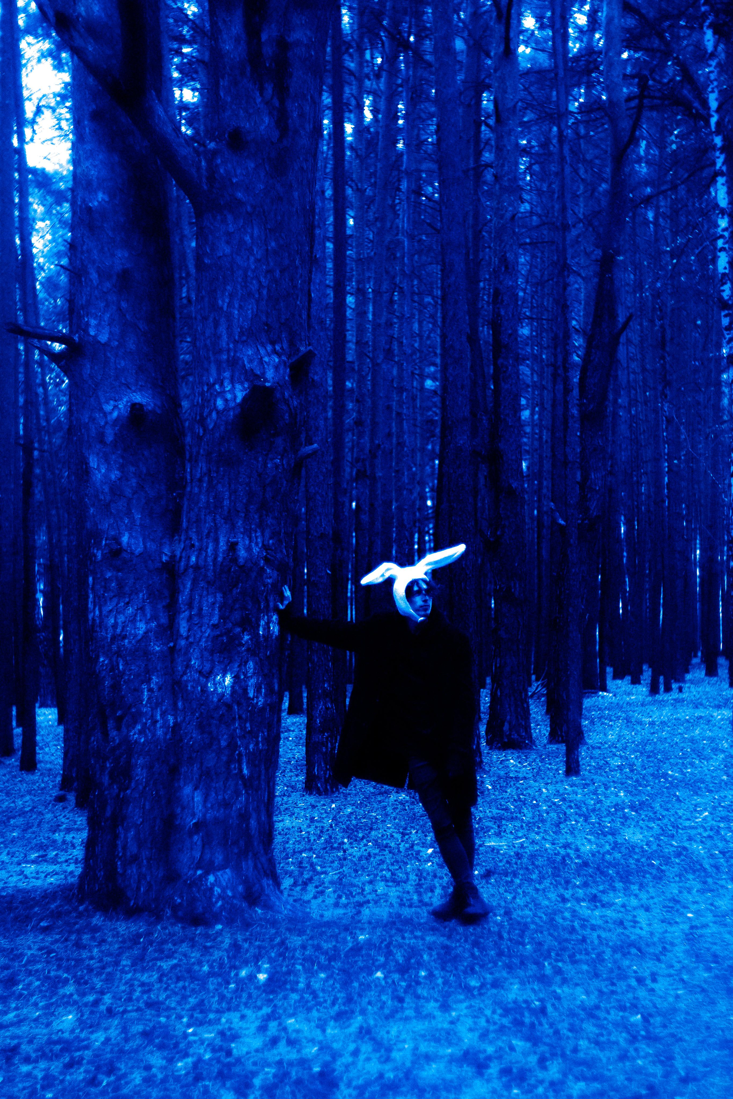 Заяц. Фотограф Дарья Мустафина, Тюмень