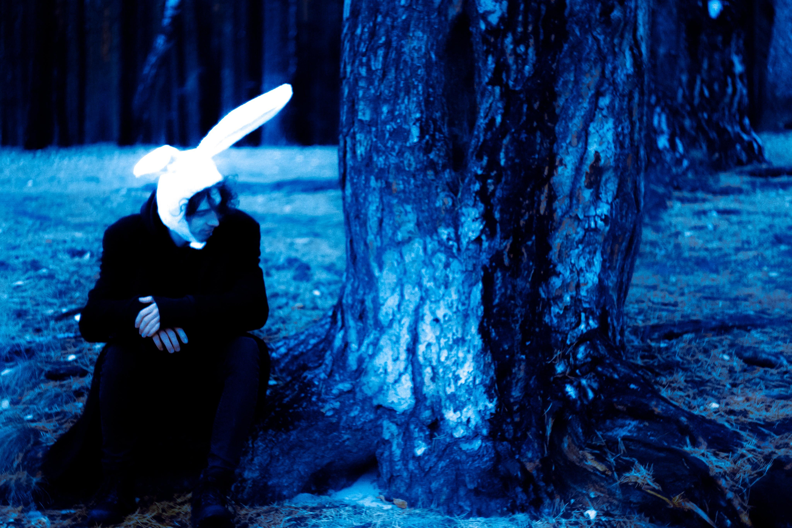 Заяц. Фотограф Дарья Мустафина, Тюмень