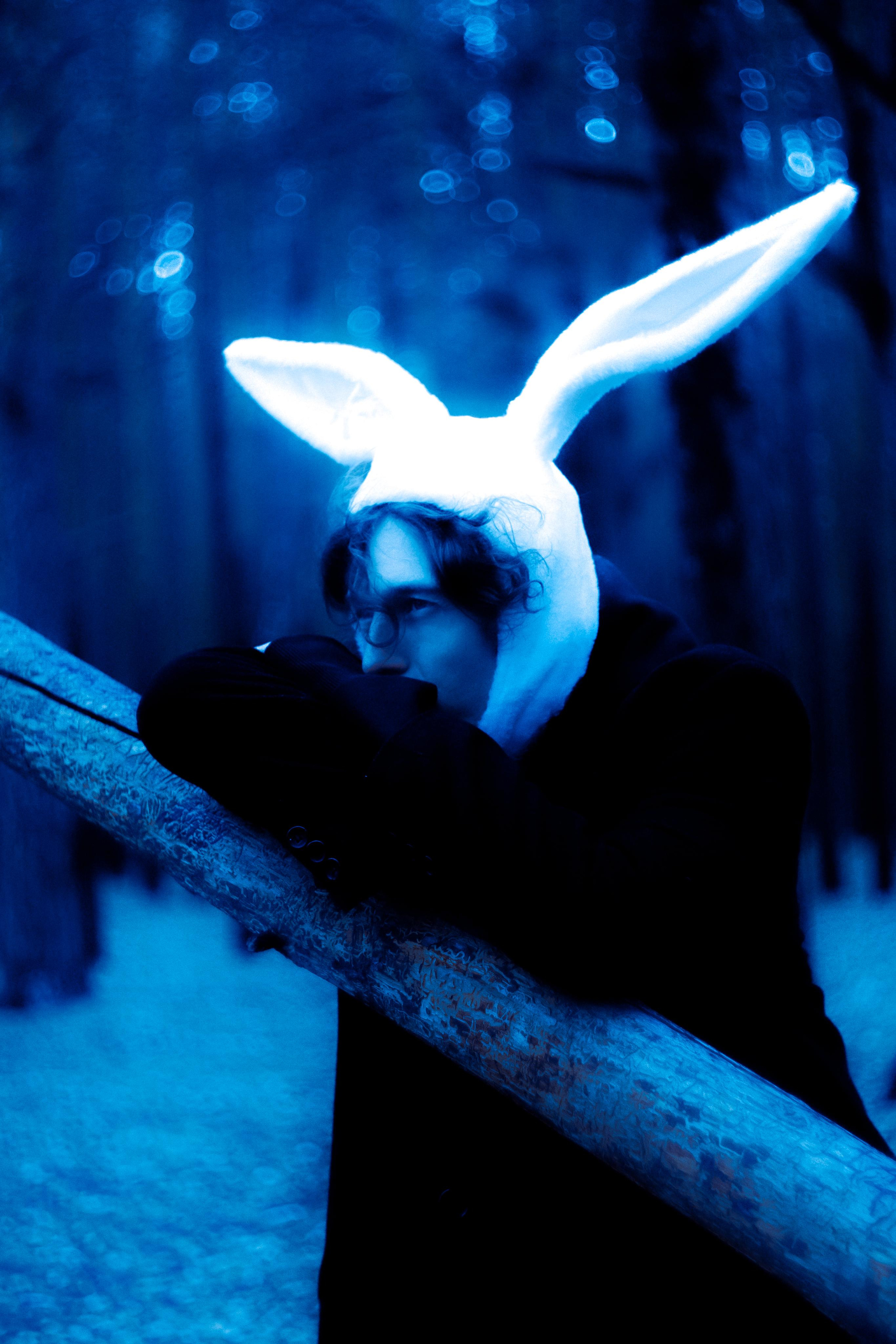 Заяц. Фотограф Дарья Мустафина, Тюмень