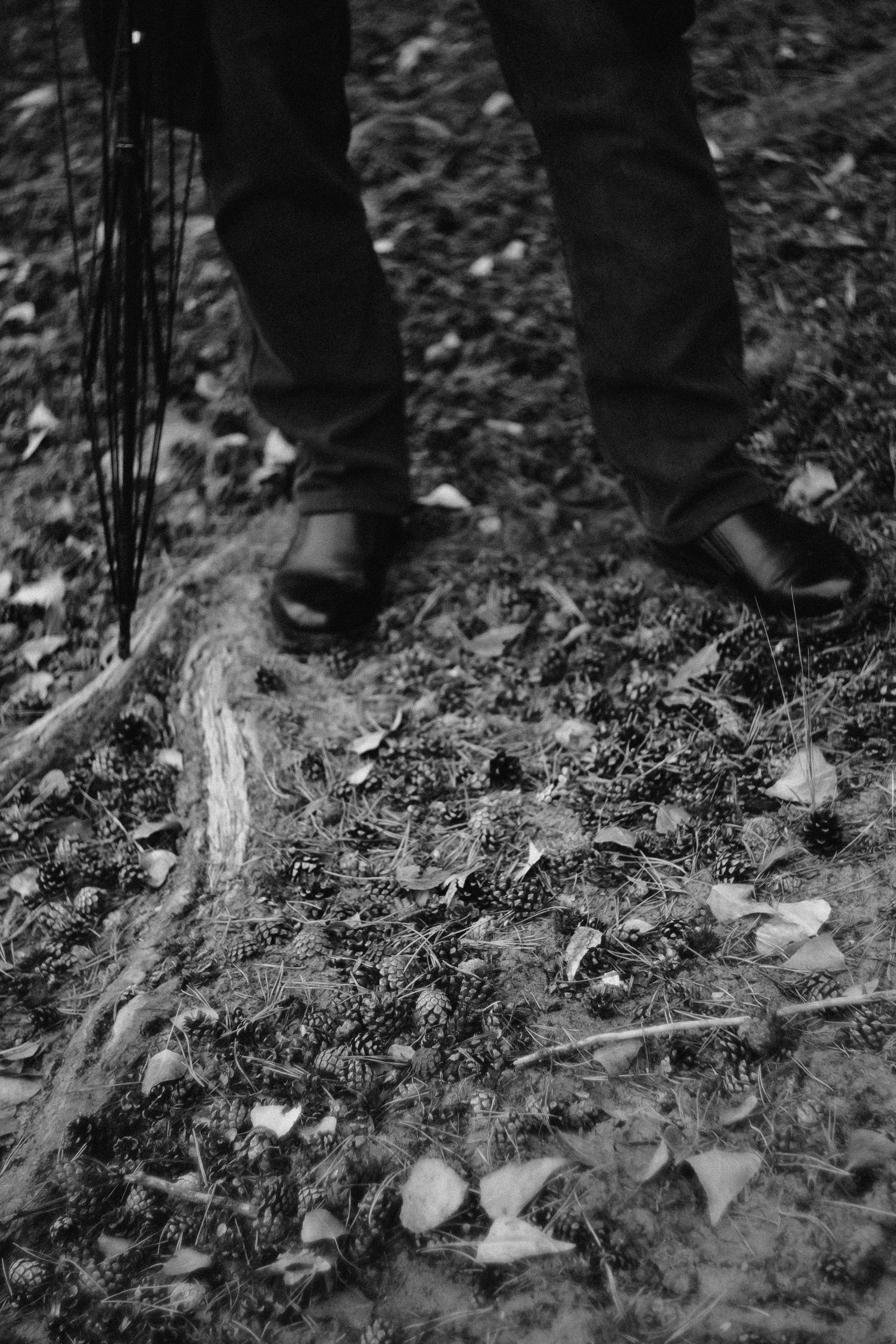 Мужская портретная фотосессия Тюмень. Фотограф Дарья Мустафина, Тюмень