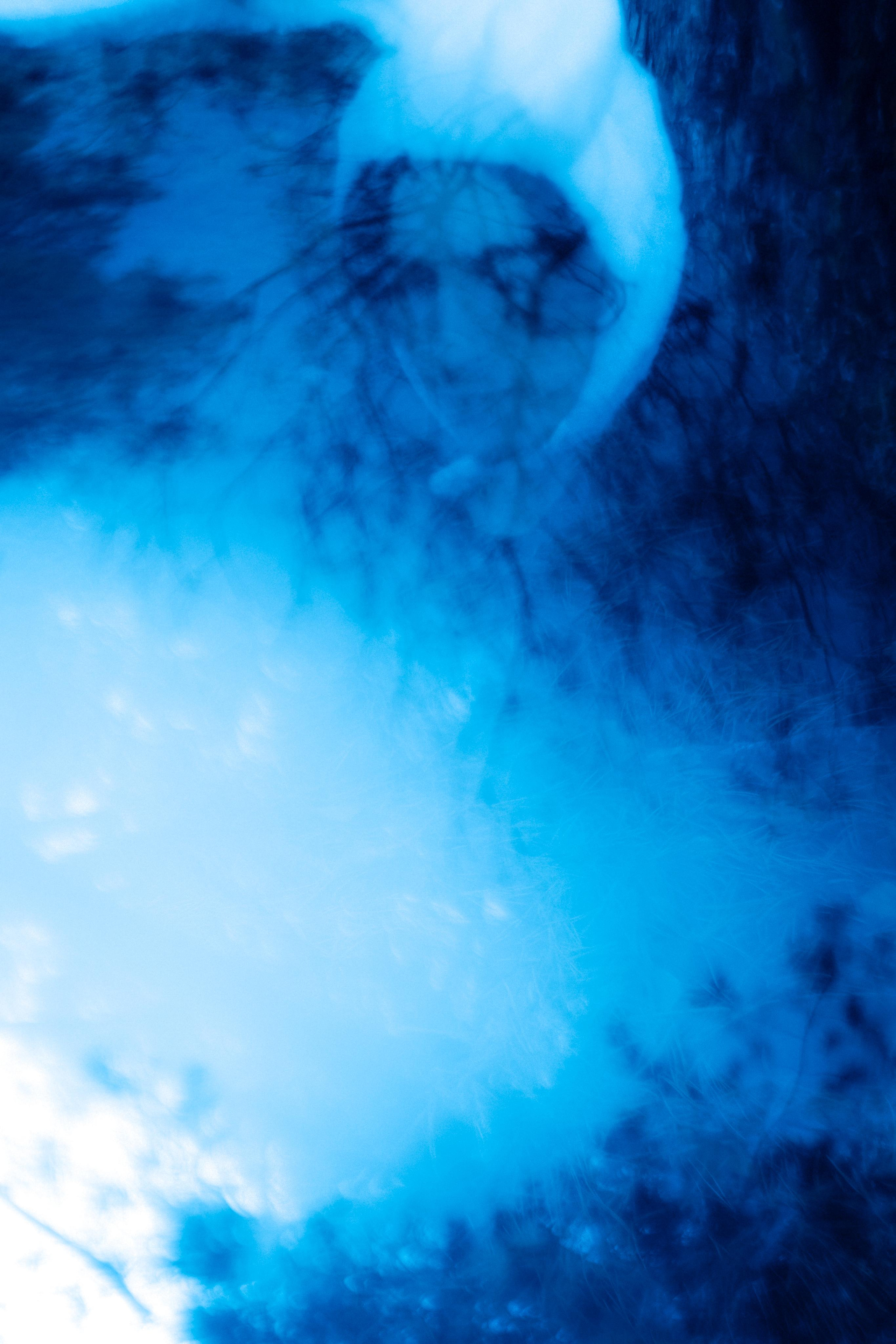 Заяц. Фотограф Дарья Мустафина, Тюмень