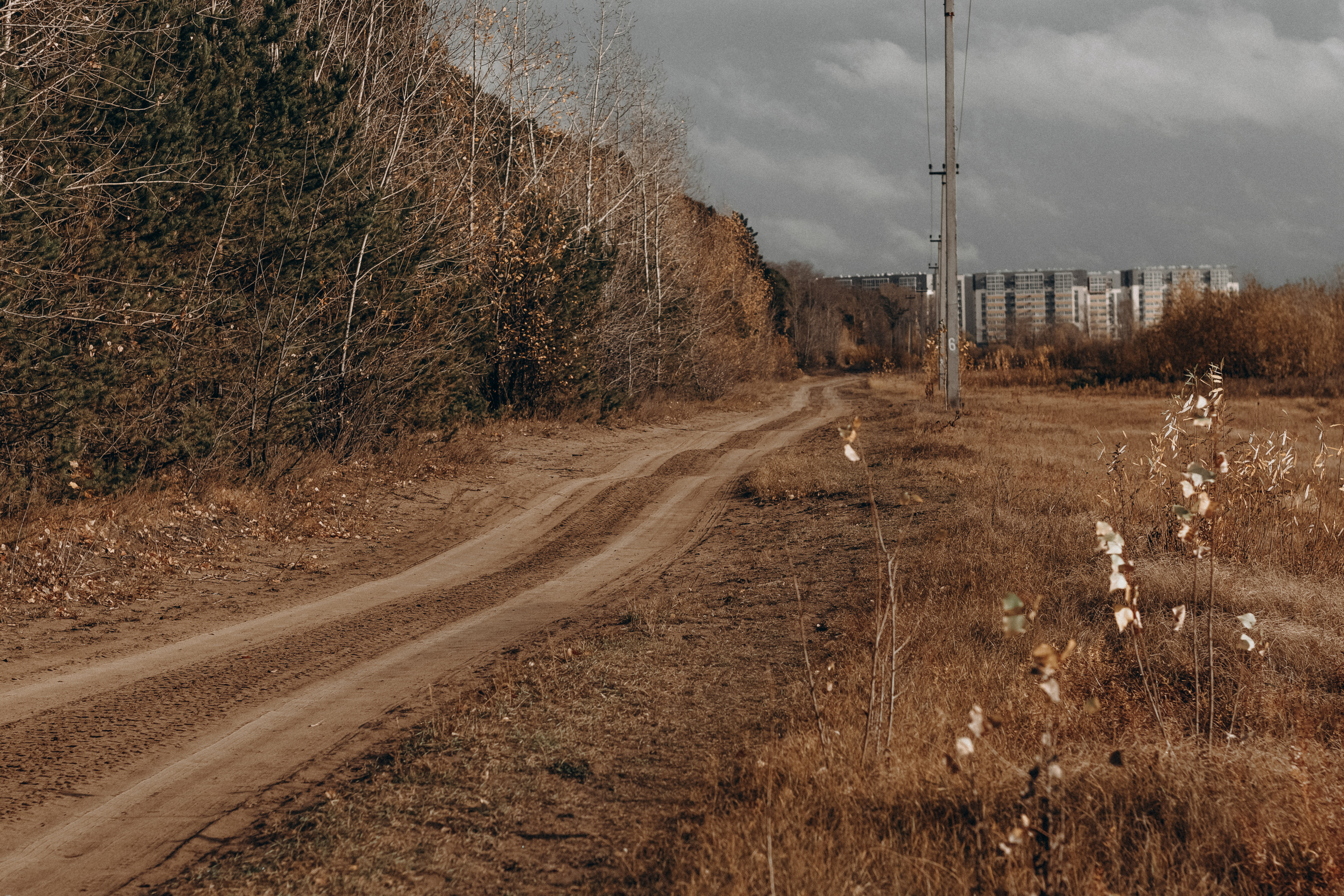 Заяц. Фотограф Дарья Мустафина, Тюмень