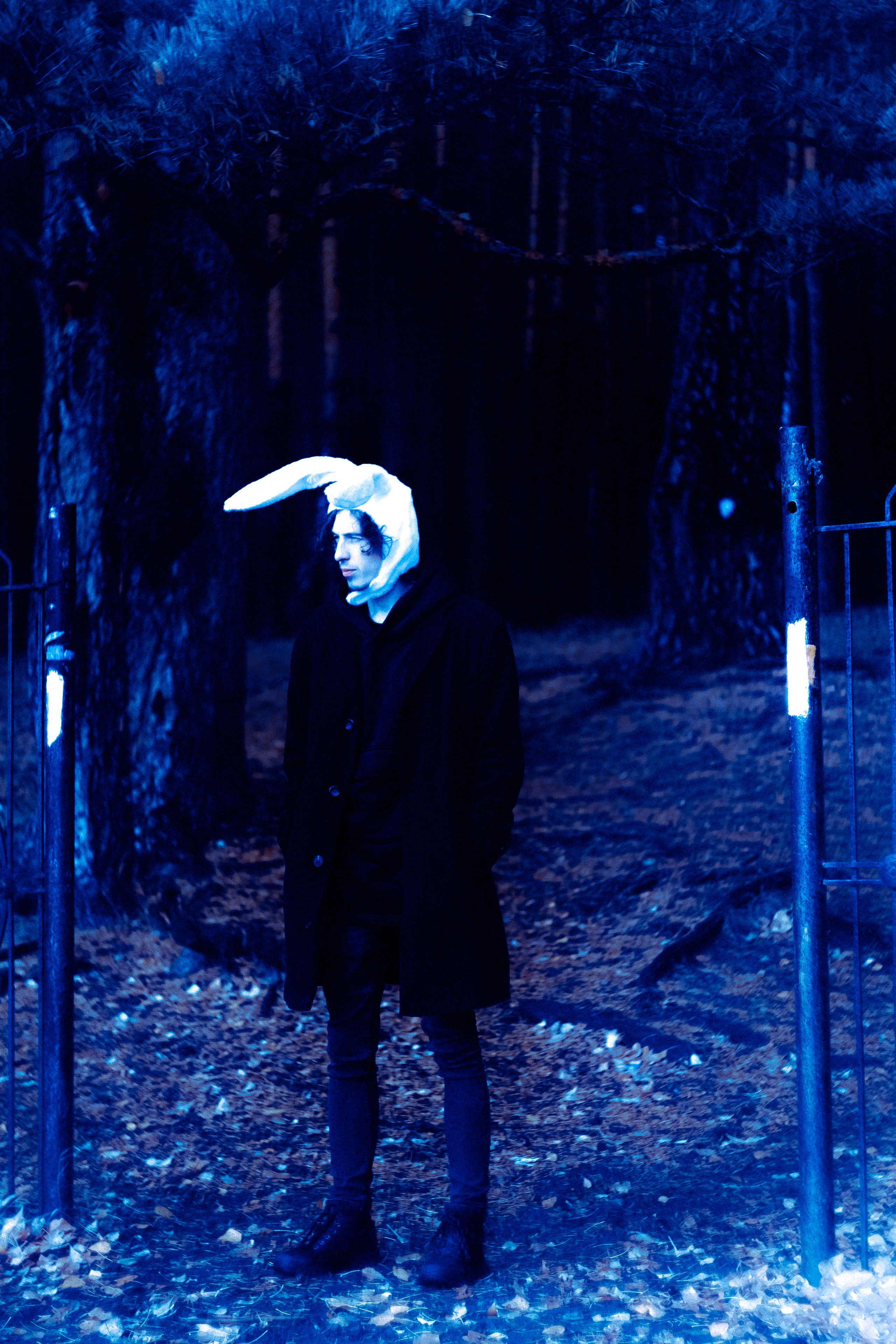 Заяц. Фотограф Дарья Мустафина, Тюмень