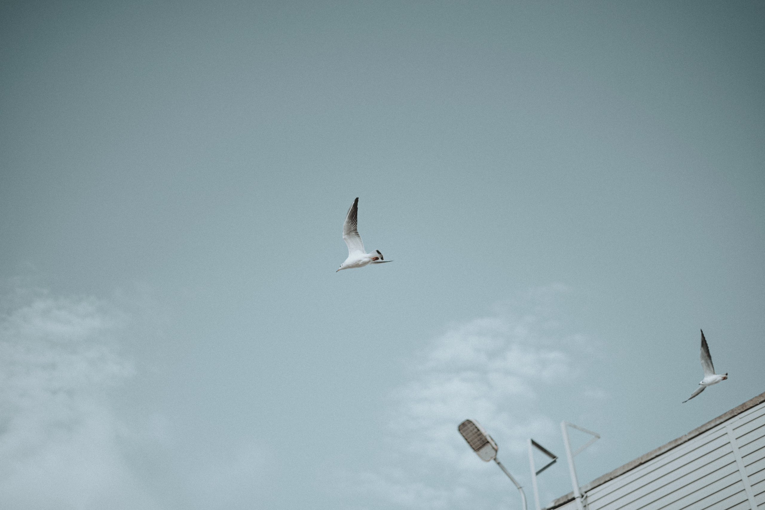 Анастасия. Фотограф Дарья Мустафина, Тюмень