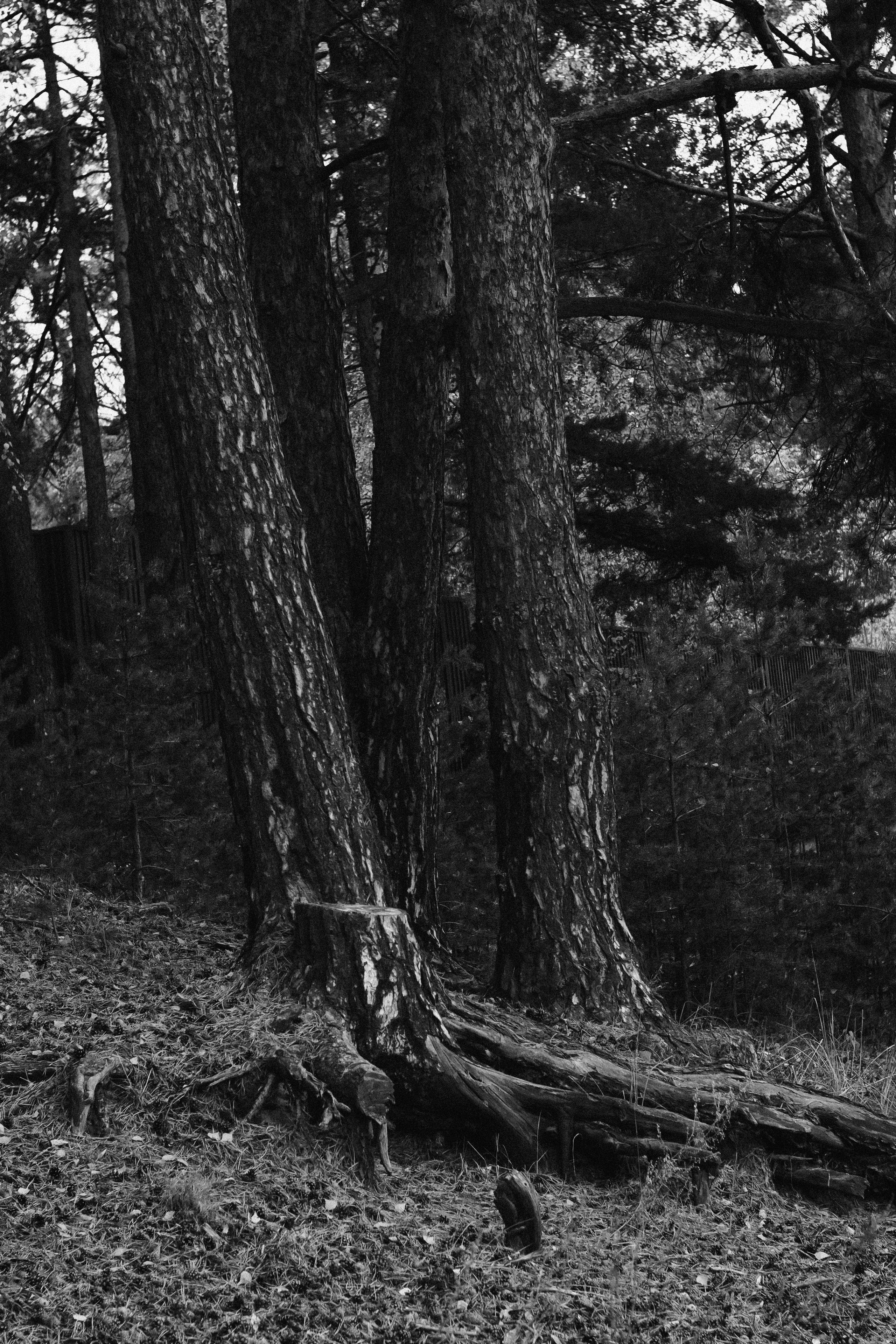 Мужская портретная фотосессия Тюмень. Фотограф Дарья Мустафина, Тюмень