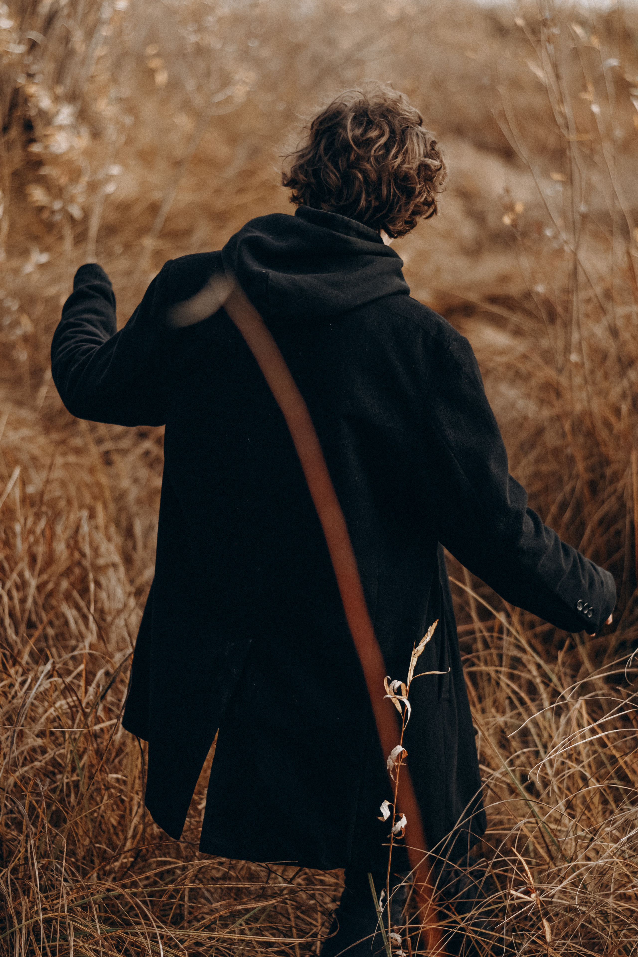 Заяц. Фотограф Дарья Мустафина, Тюмень