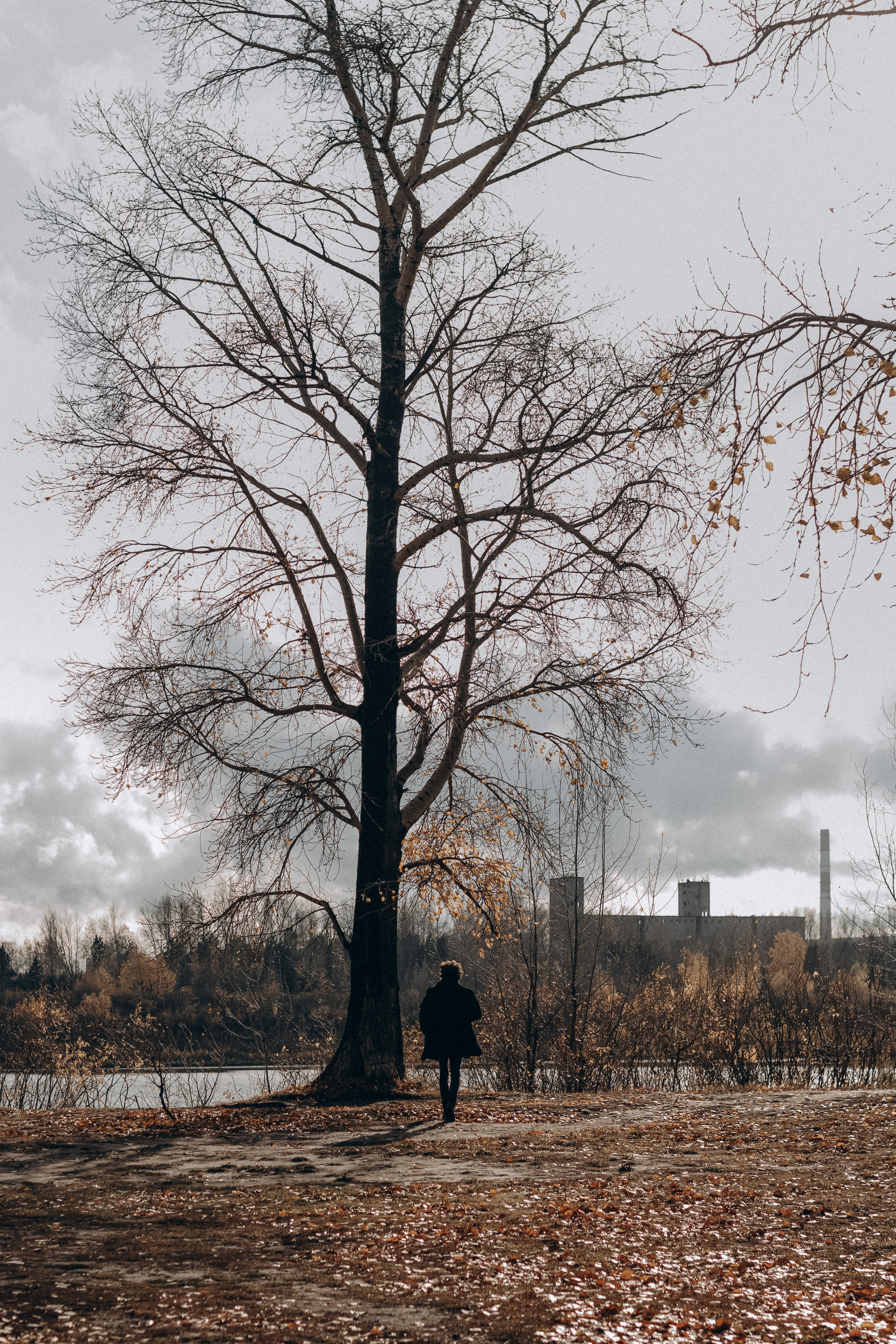 Заяц. Фотограф Дарья Мустафина, Тюмень