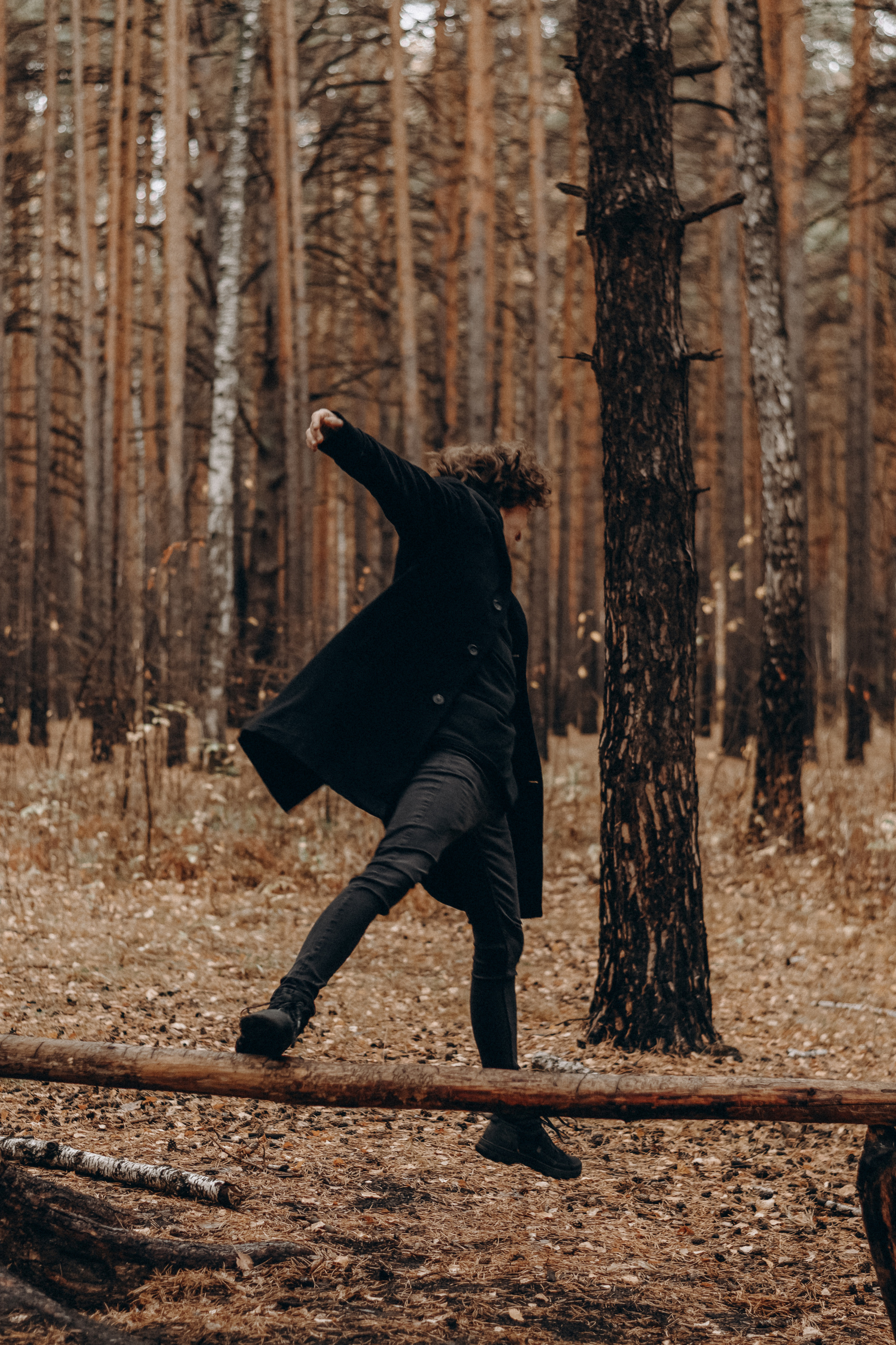 Заяц. Фотограф Дарья Мустафина, Тюмень