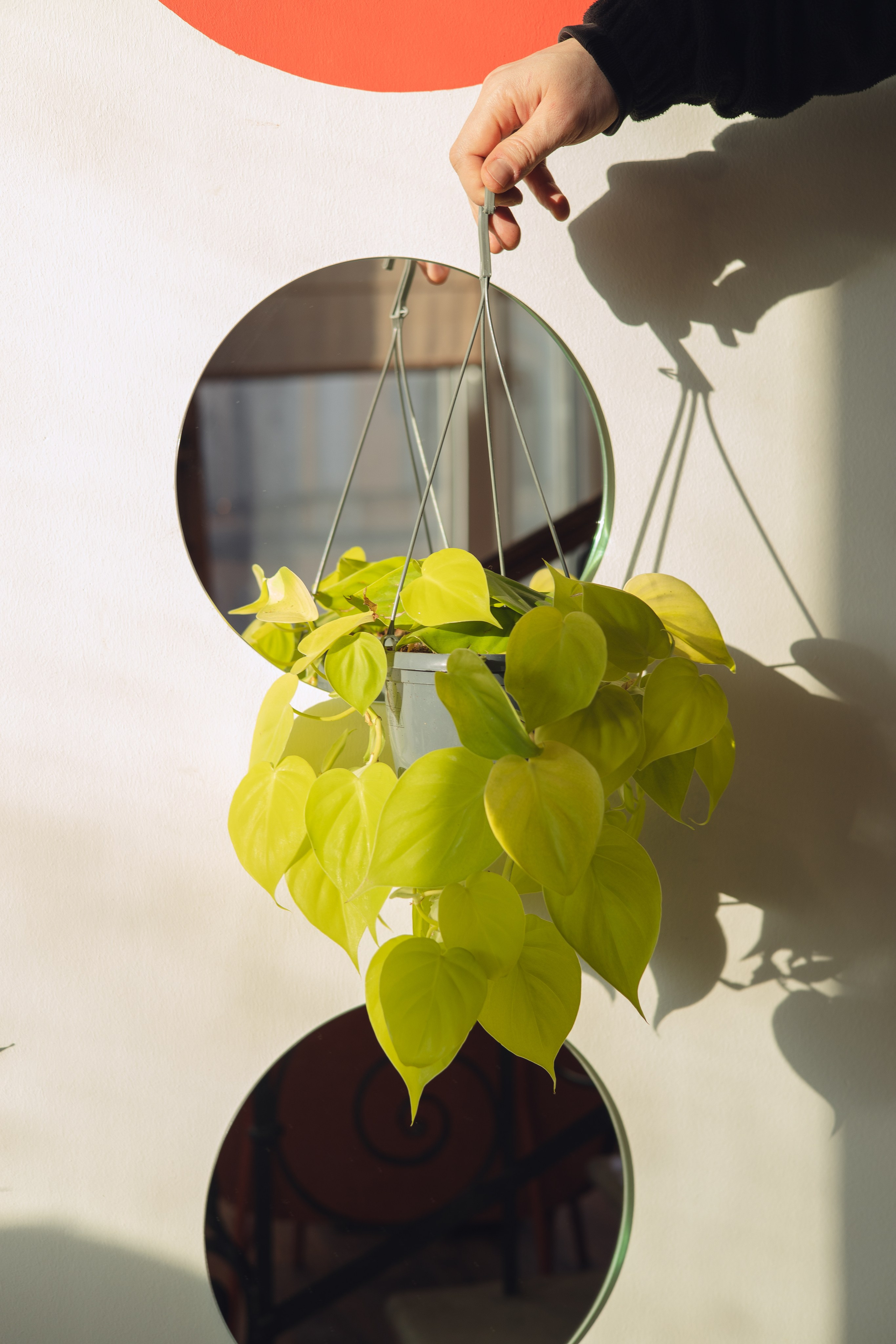 Предметная съемка для бизнеса. Фотограф в Санкт-Петербурге Осокина Елизавета