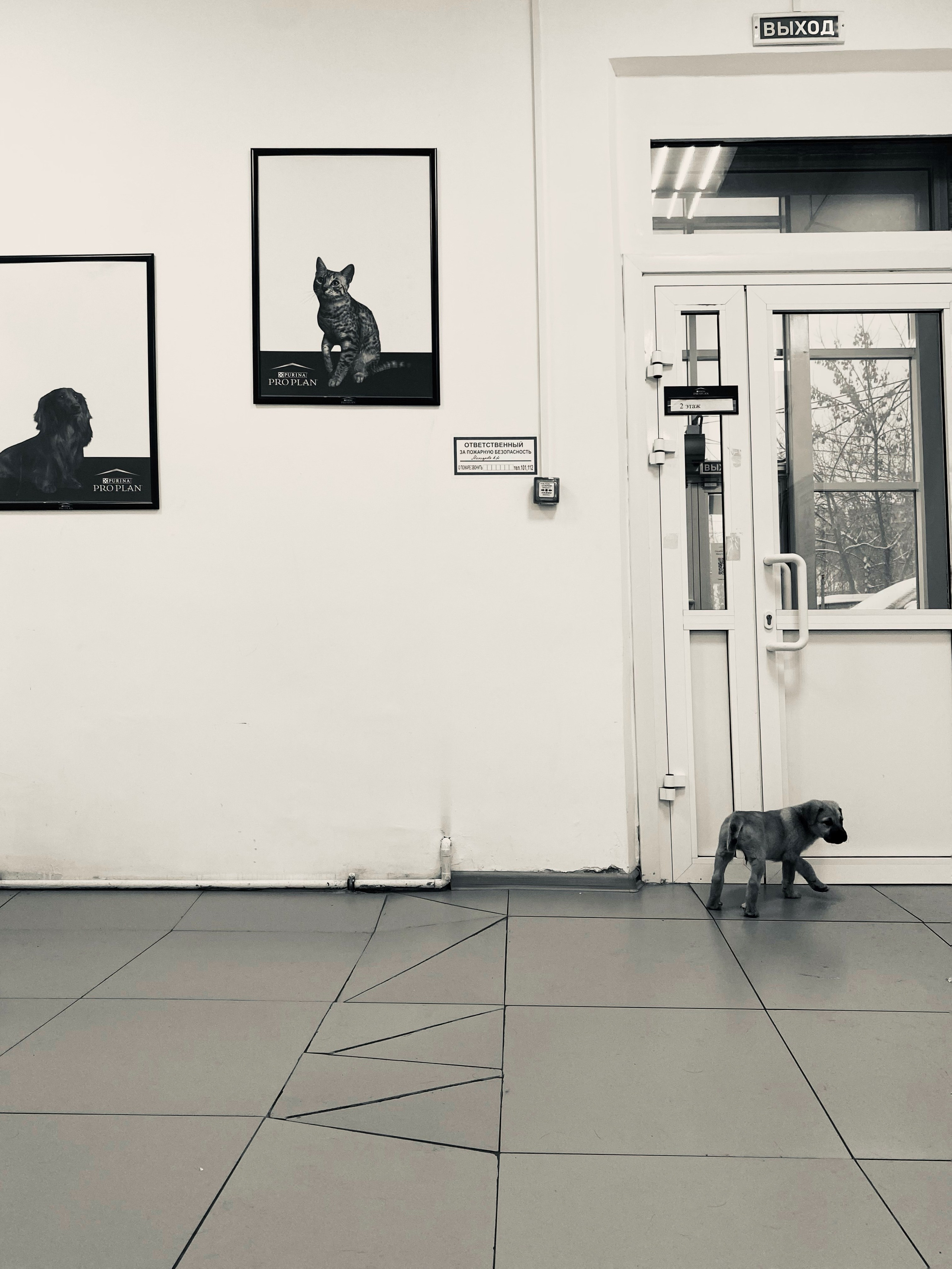 2023. Тащилин Сергей. Фотографии. Жизнь. Хобби