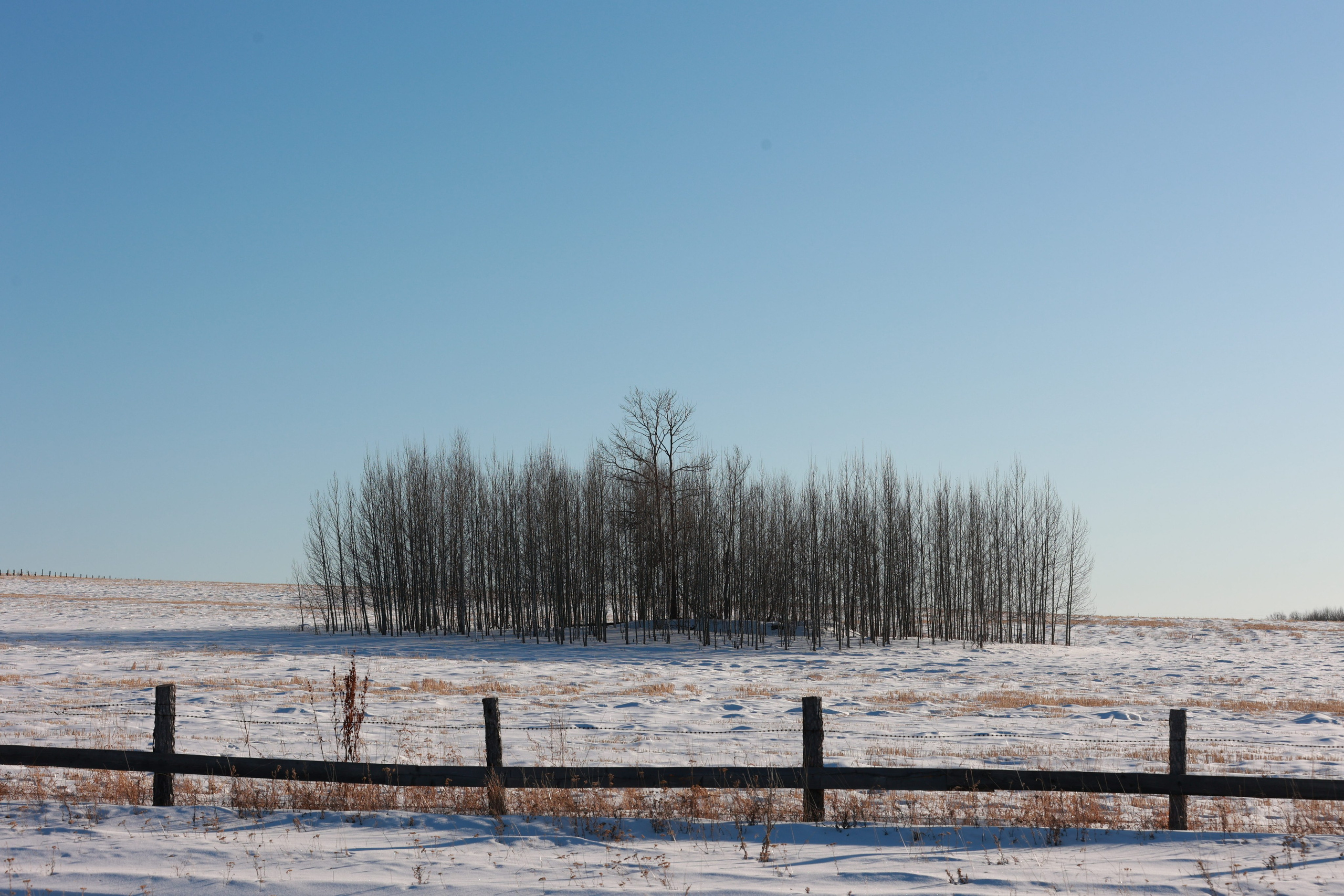 2022. Тащилин Сергей. Фотографии. Жизнь. Хобби