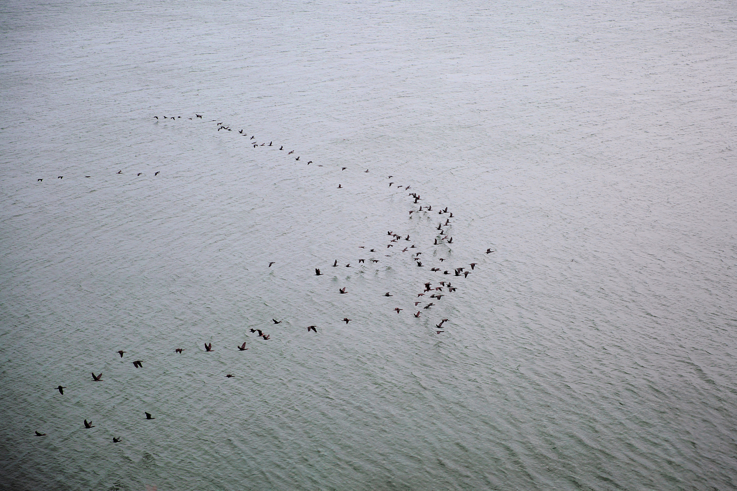 Фотосъемка свадьбы в Волгодонске 2023