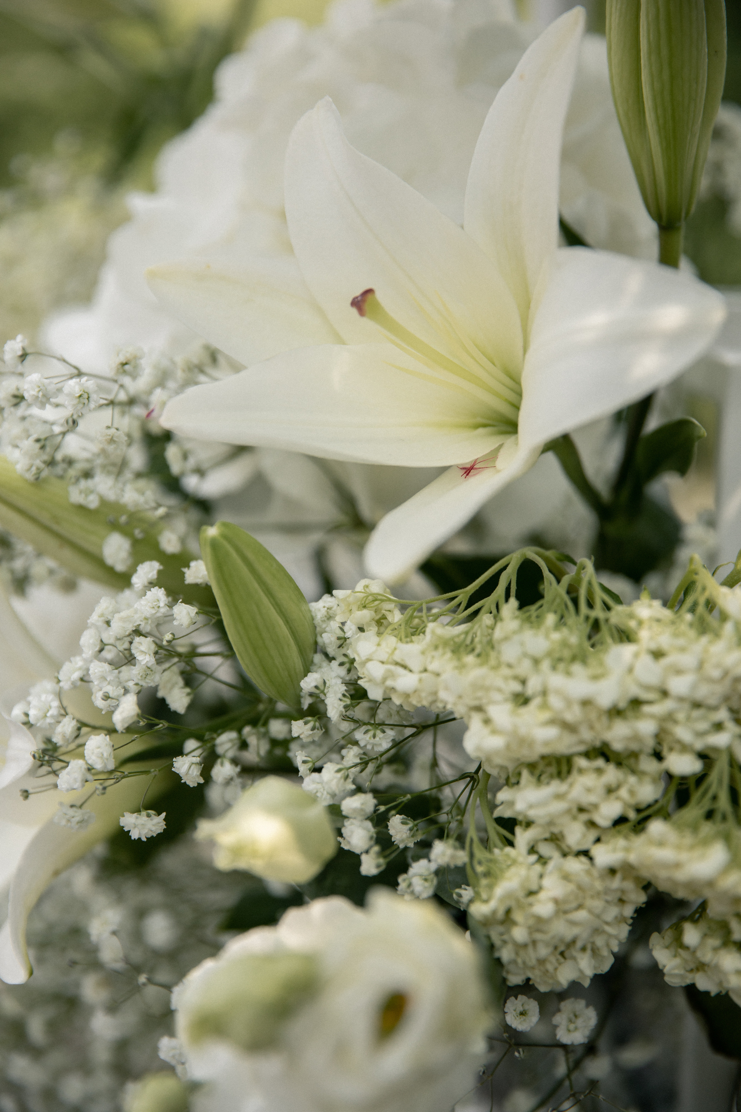 Арина и Дима. Фотограф в Калининграде Дмитрий Мишин