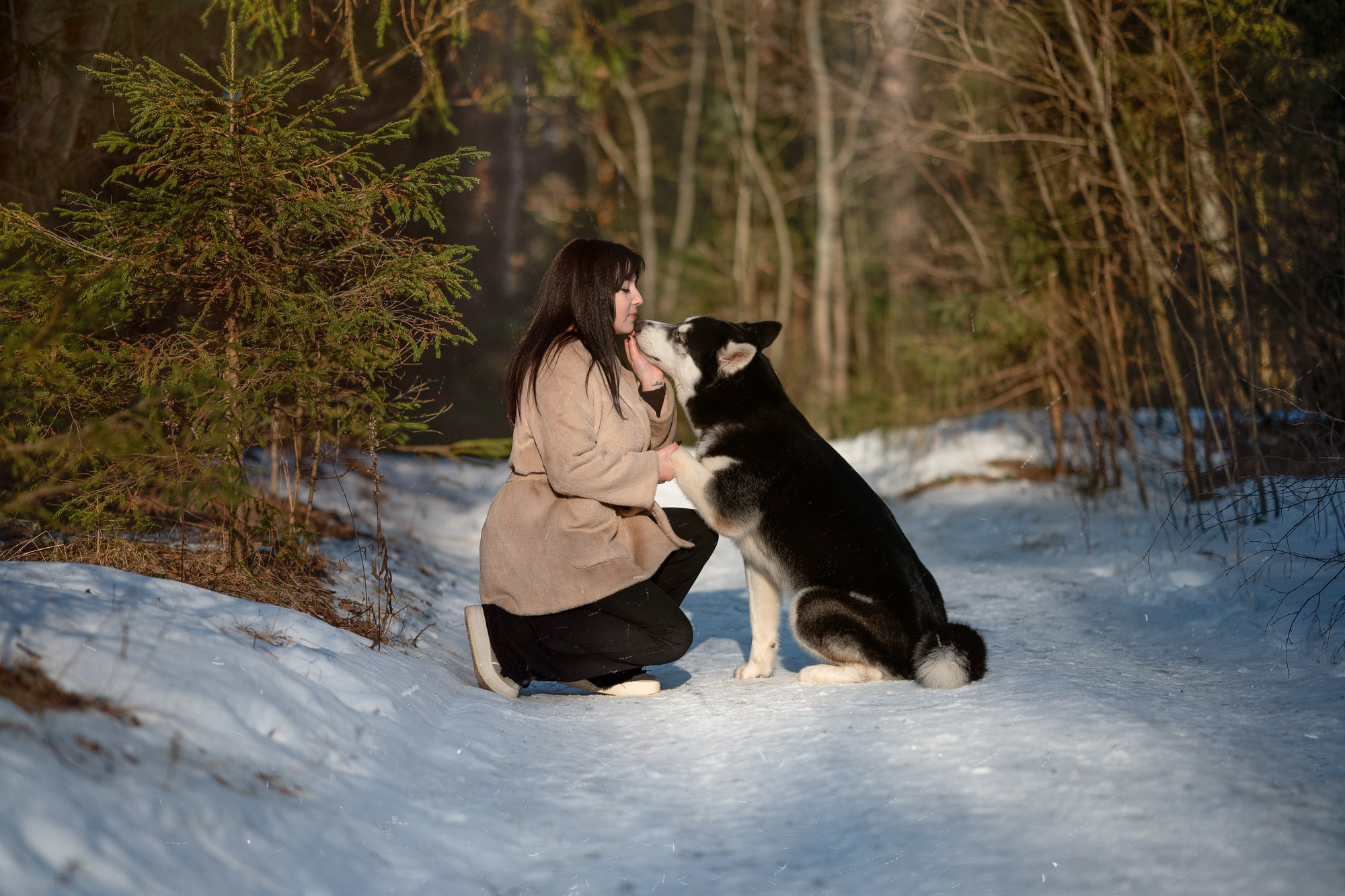 Прогулка в лесу. Творческий фотограф Вологда