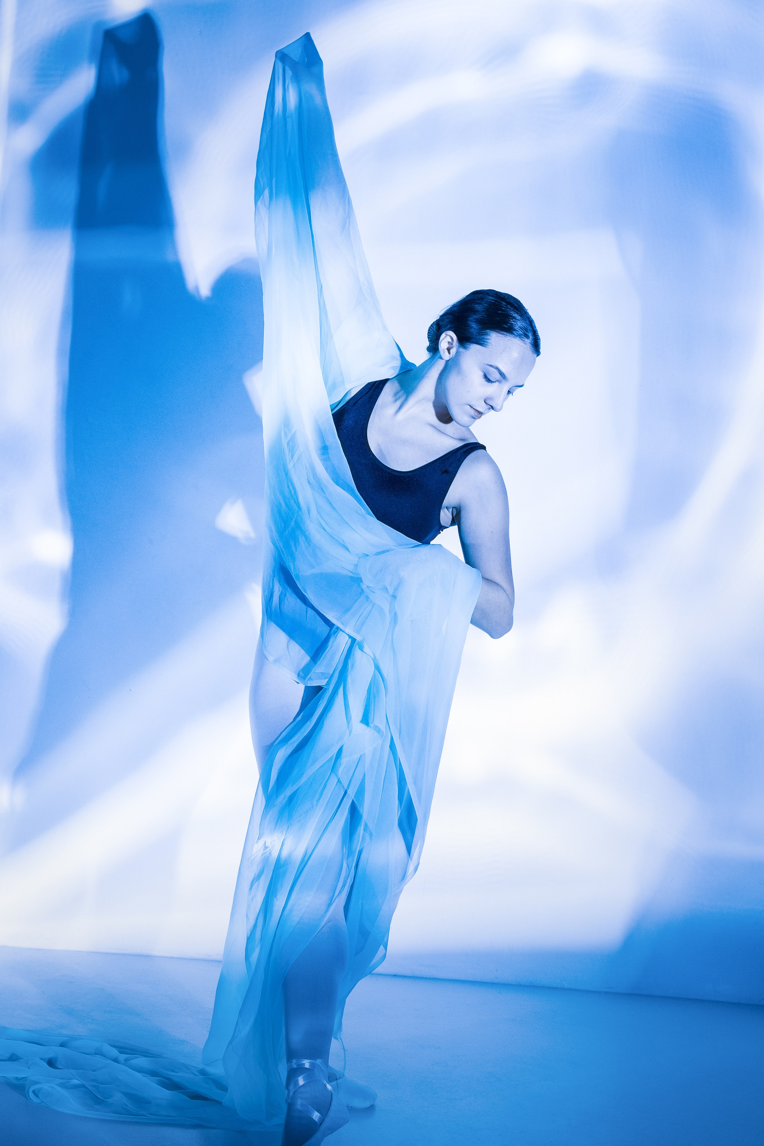 Лилия. Художественная фотография