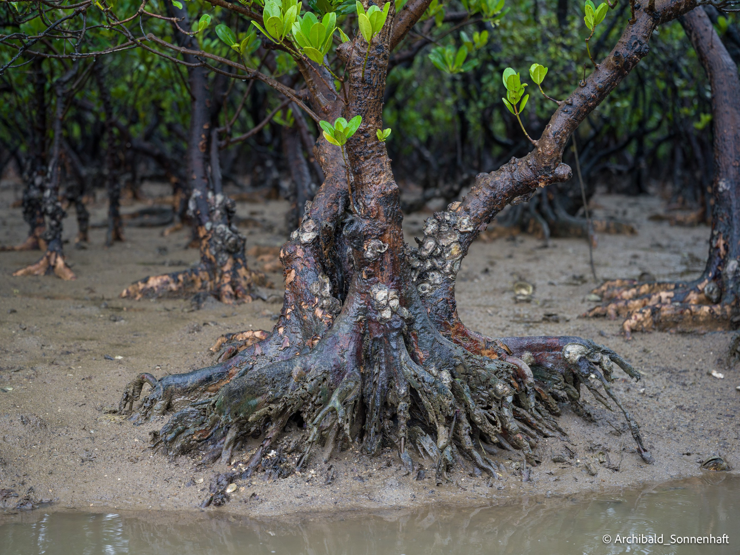 Kayaking. Photographer in Guangzhou, China. Archibald Sonnenhaft