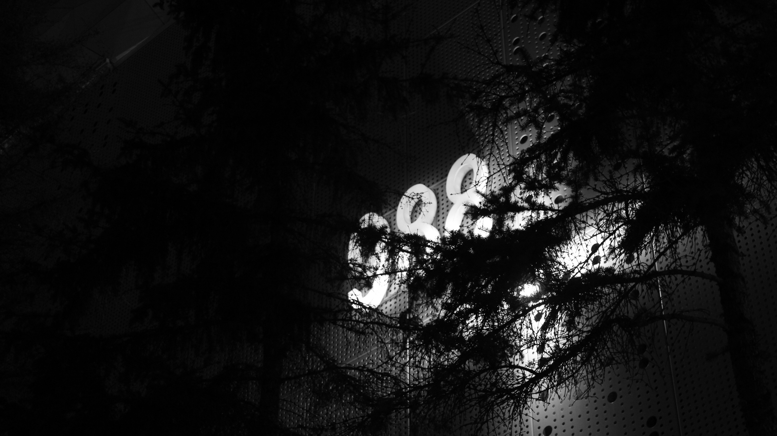 TMN winter '25 (wb). Фотограф/дизайнер в Екатеринбурге Хитрый Дмитрий