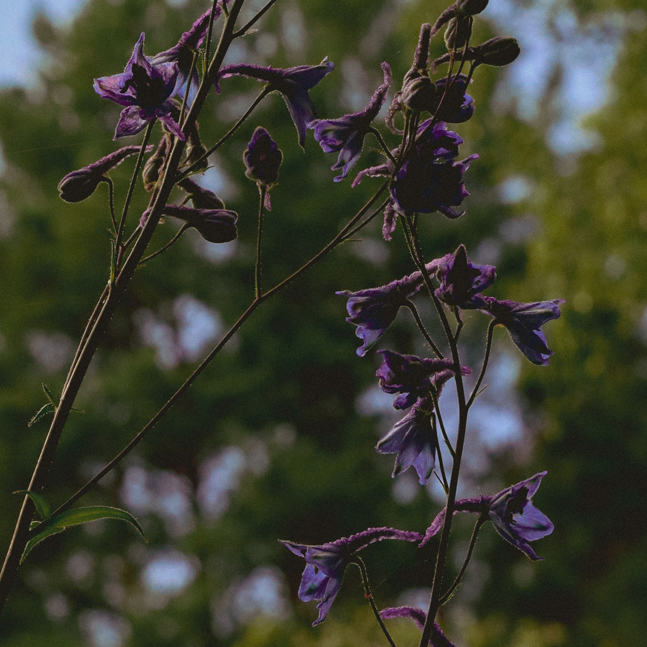 Summer hike. Фотограф/дизайнер в Екатеринбурге Хитрый Дмитрий