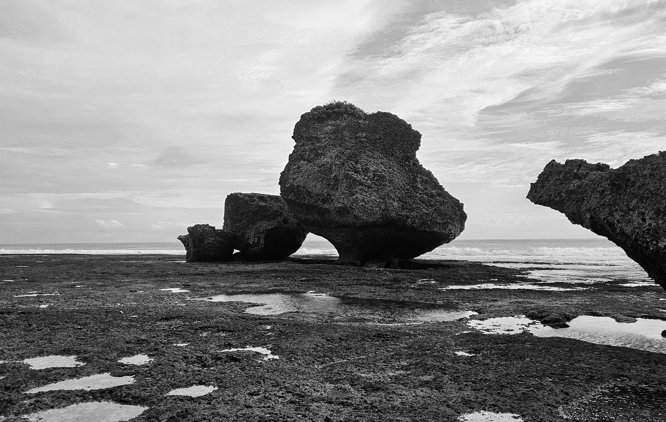 NYANG NYANG. Любовь Моргасова [LU SPRING]: Фотограф и куратор