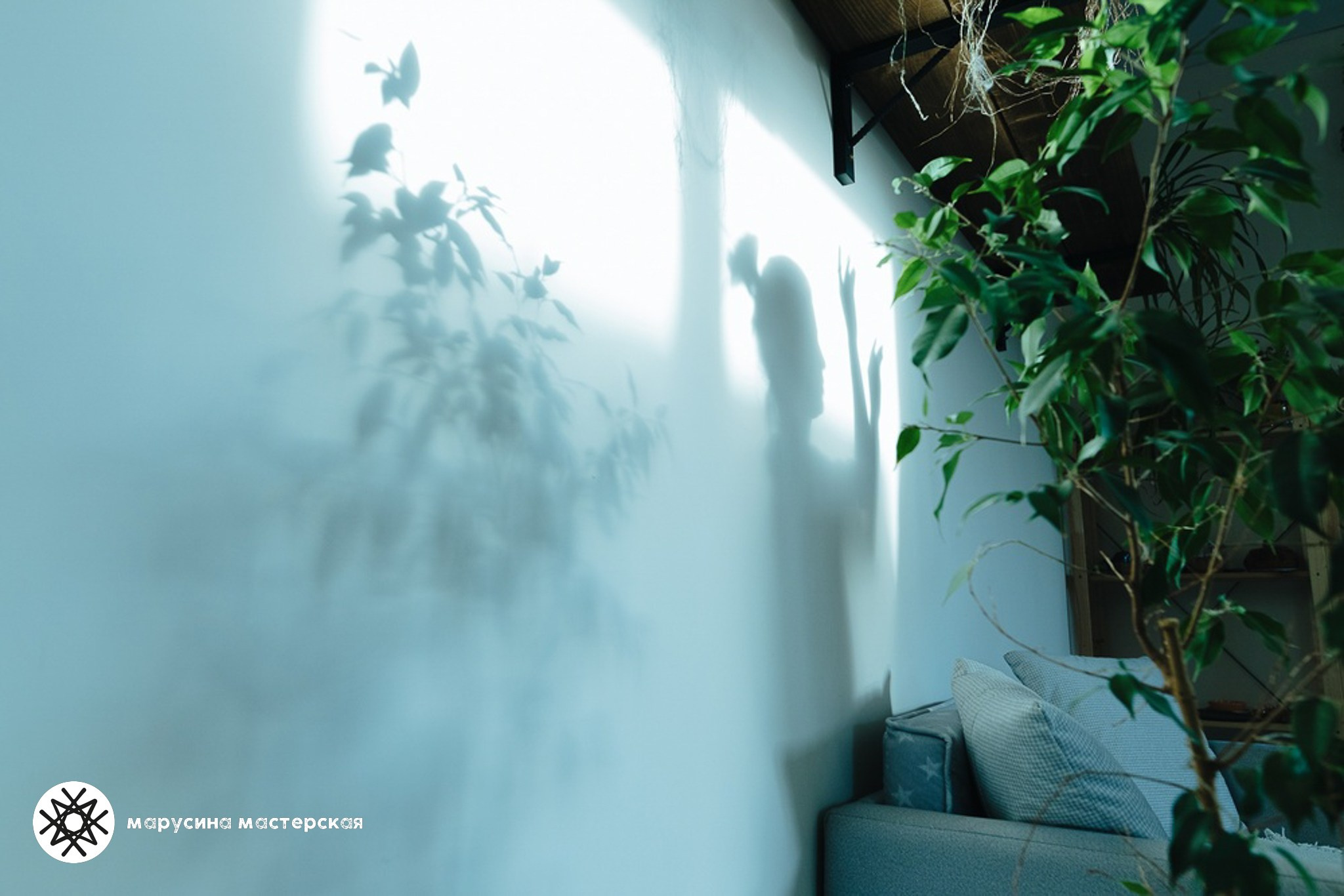 Юлия Кучеева