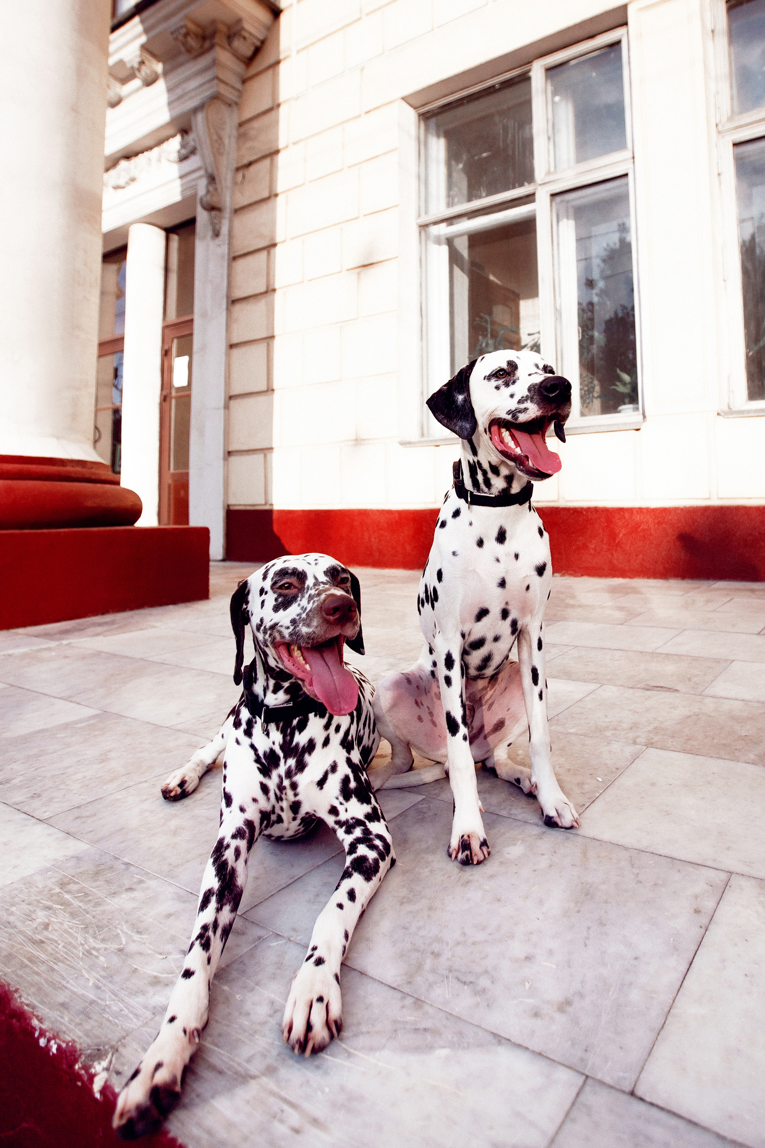 Аня. Фотограф в Иваново и других городах Ирина Сметанкина