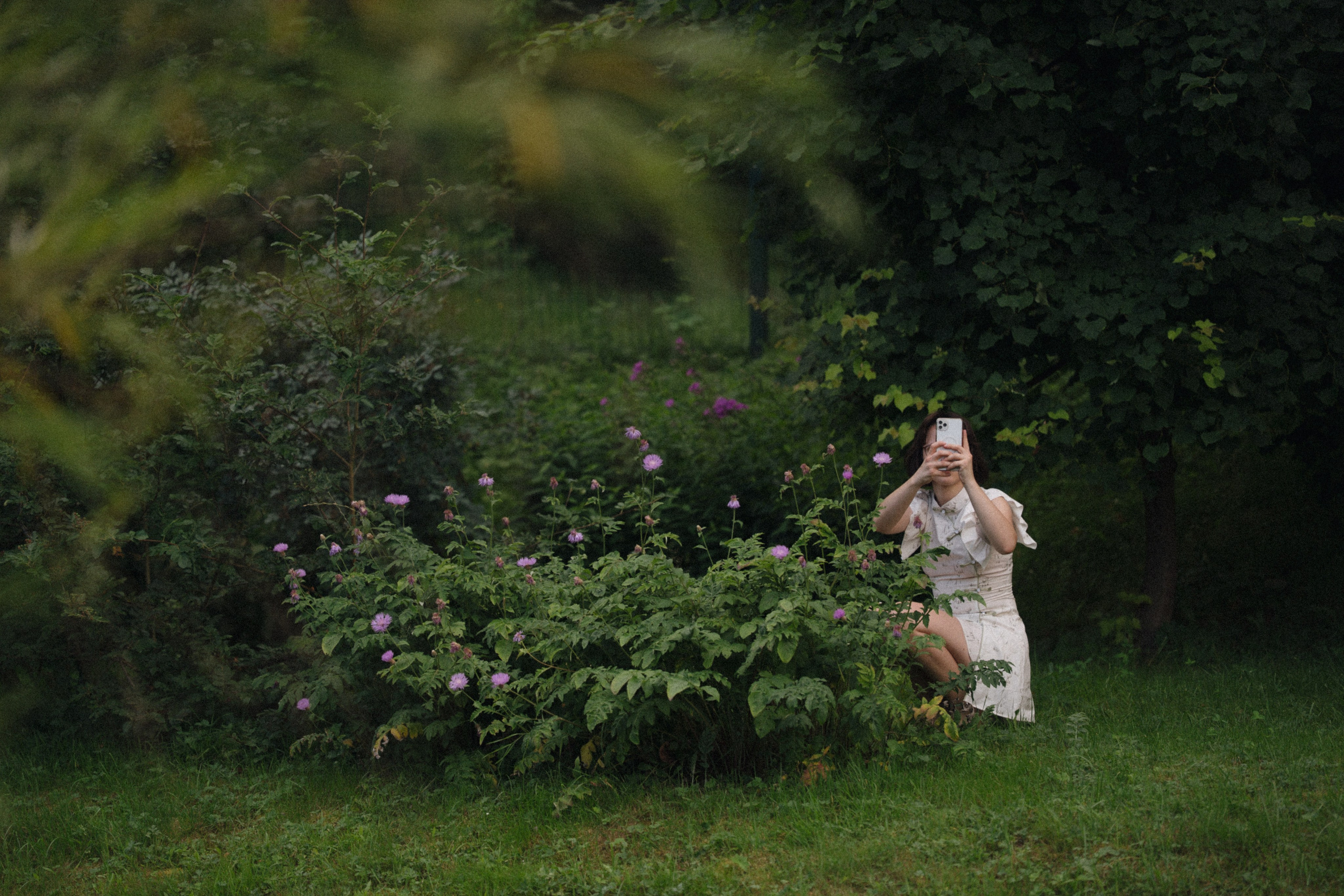 Forest Symphony. Фотограф в Санкт-Петербурге Александр Дымов
