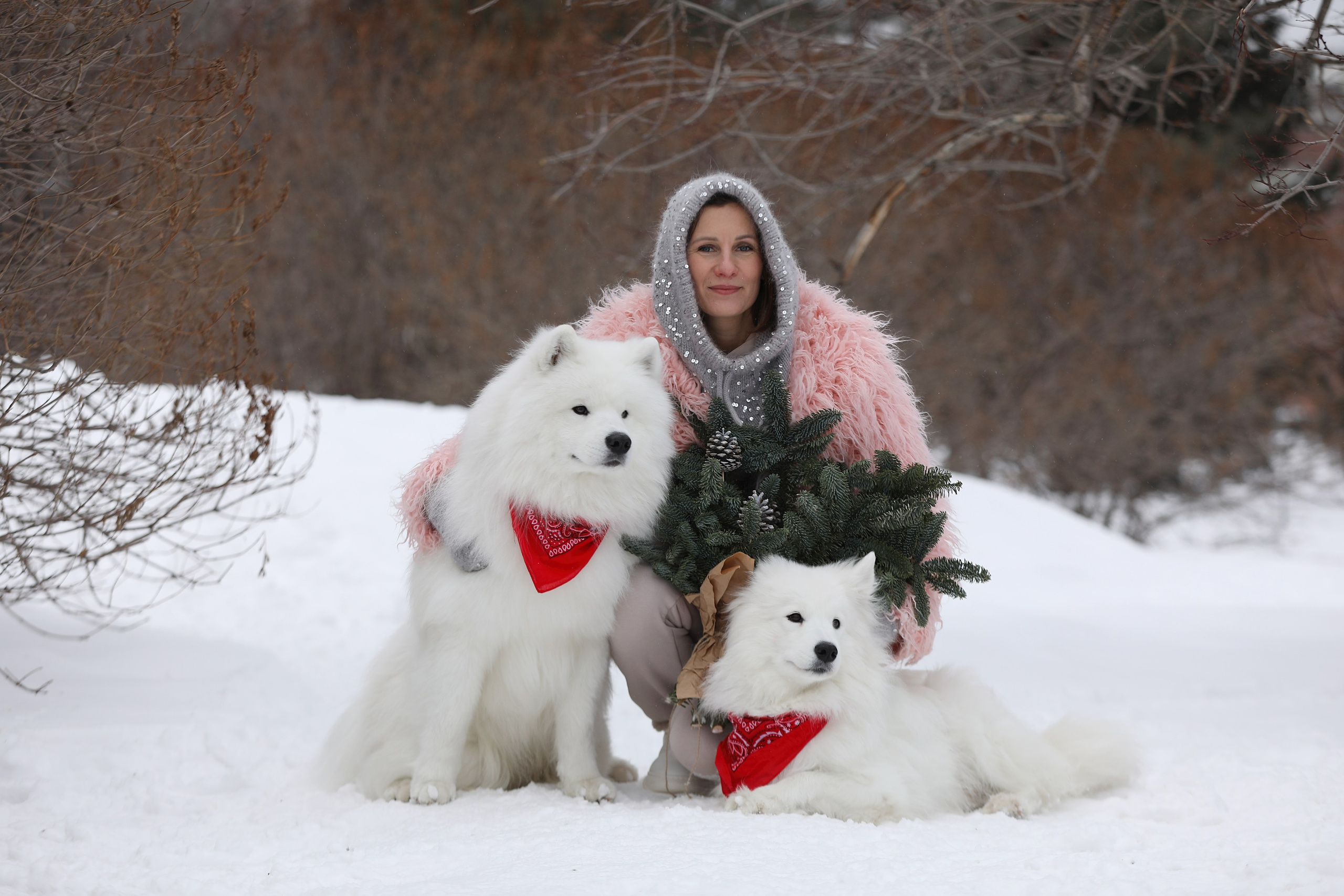 Юлия Квиткина фотограф. Самоед Новосибирск