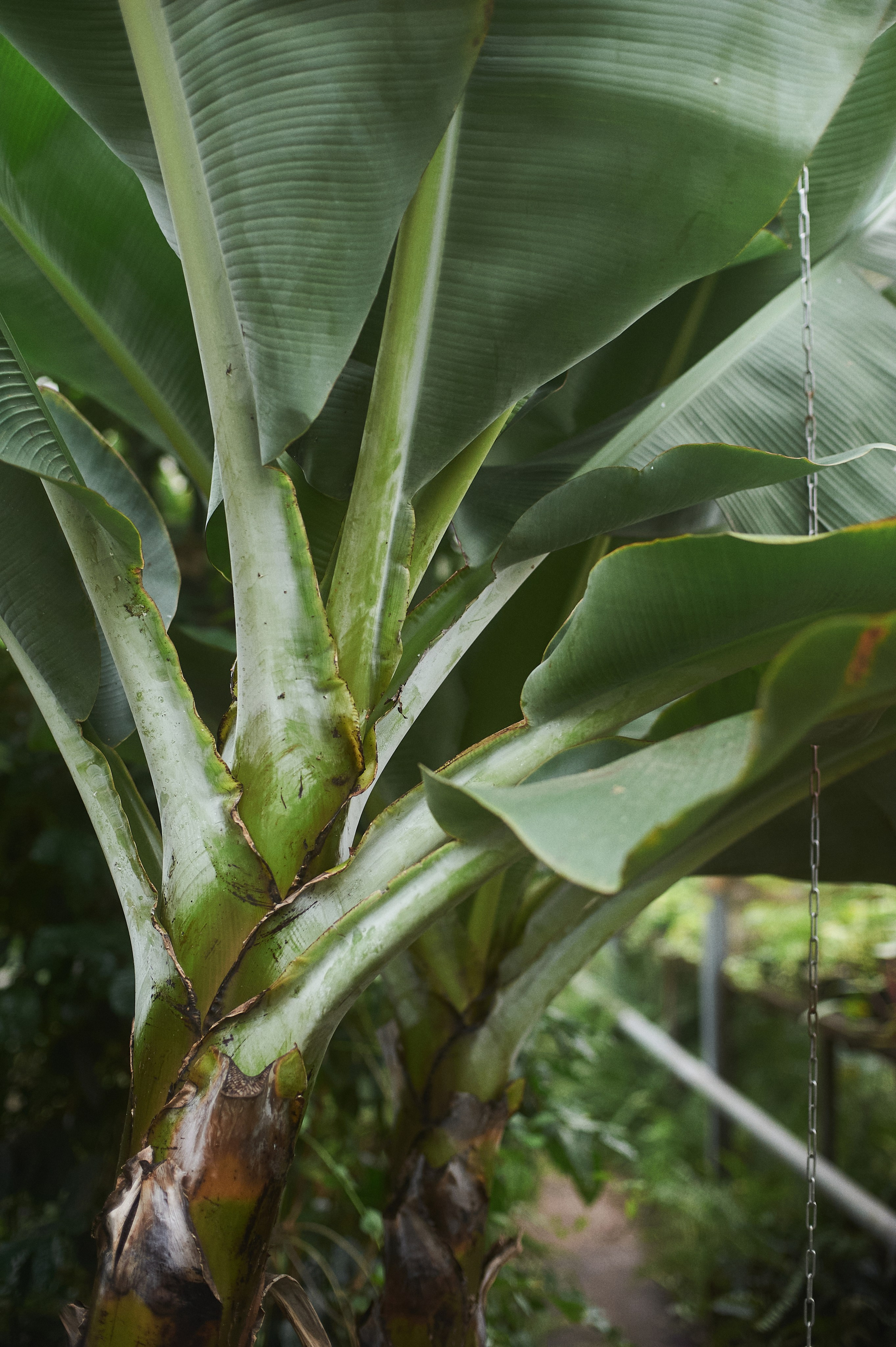 Эля. Портретный фотограф в Воронеже Вячеслав Буряк