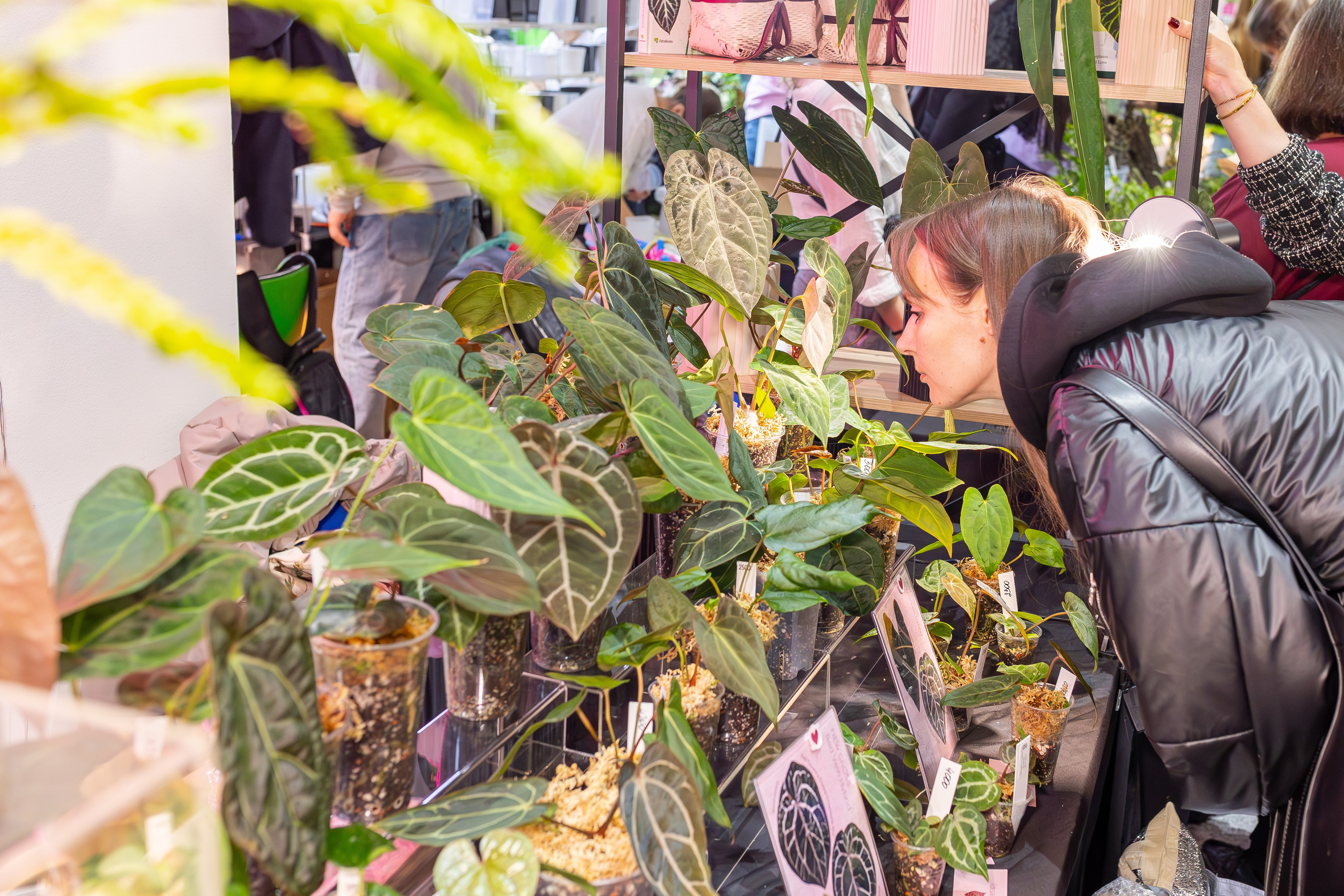 Монстериум 11–12 октября. Александра Куликова фотограф, Москва